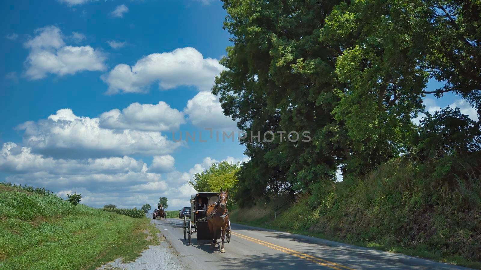 An Amish Horse and Buggy Being Followed by a Horse and Open Buggy on a Summer Day