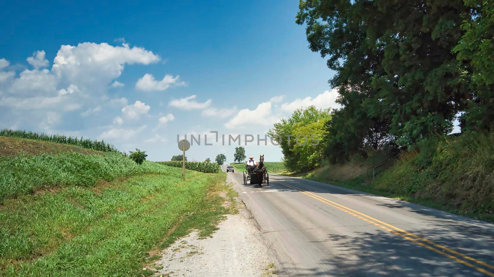 An Amish Horse and Open Buggy With an Amish Man in It