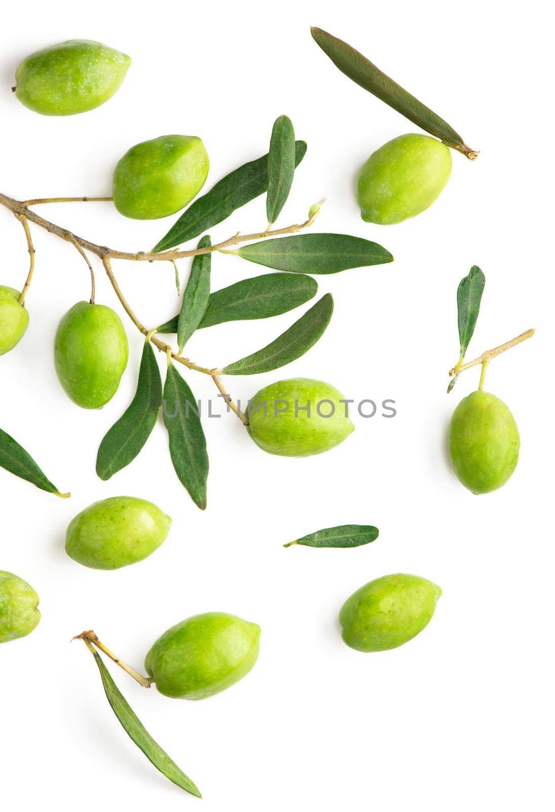 Olive fruit and olive leaves on a white background by aprilphoto