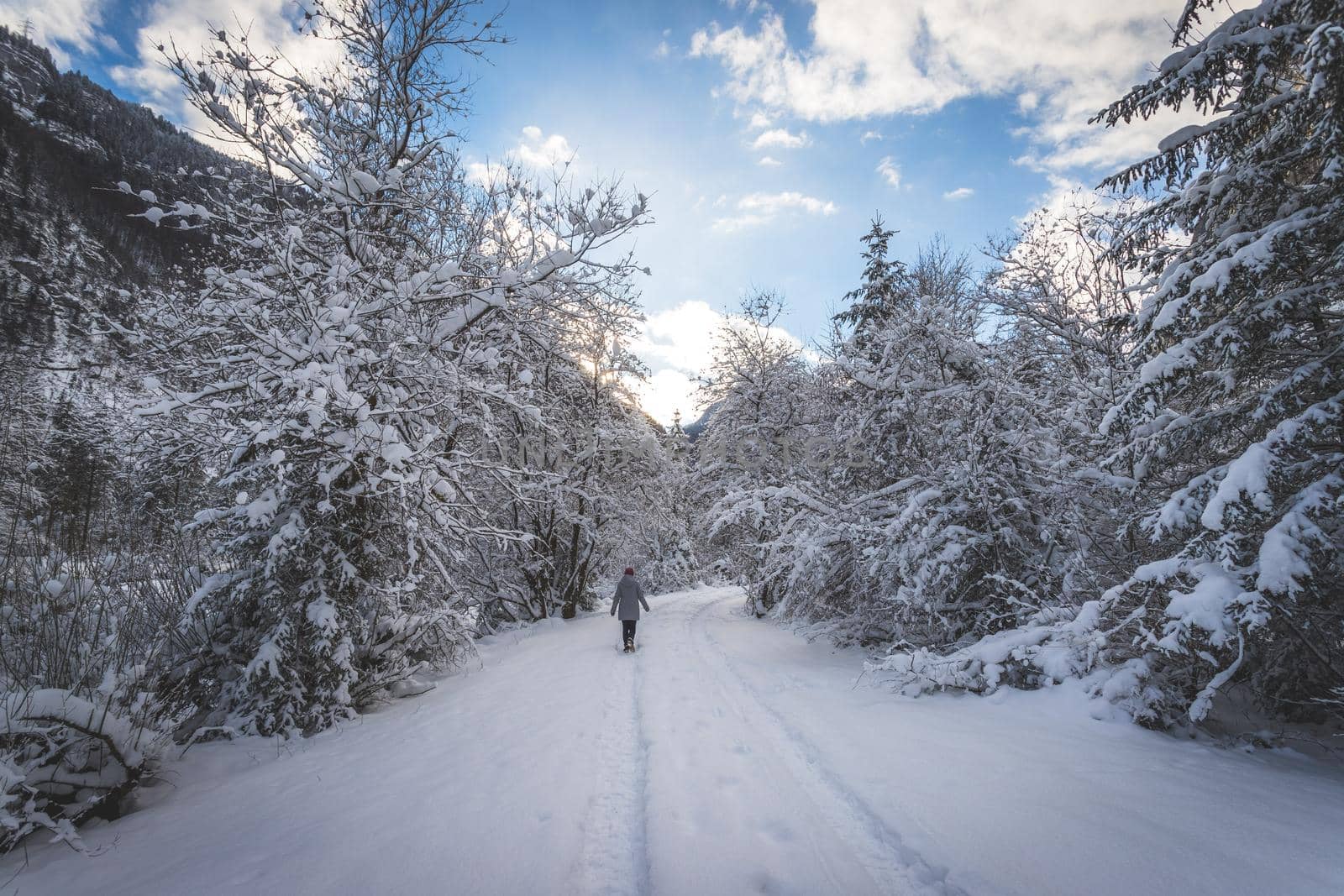 Winter landscape with footpath, snowy trees and blue sky