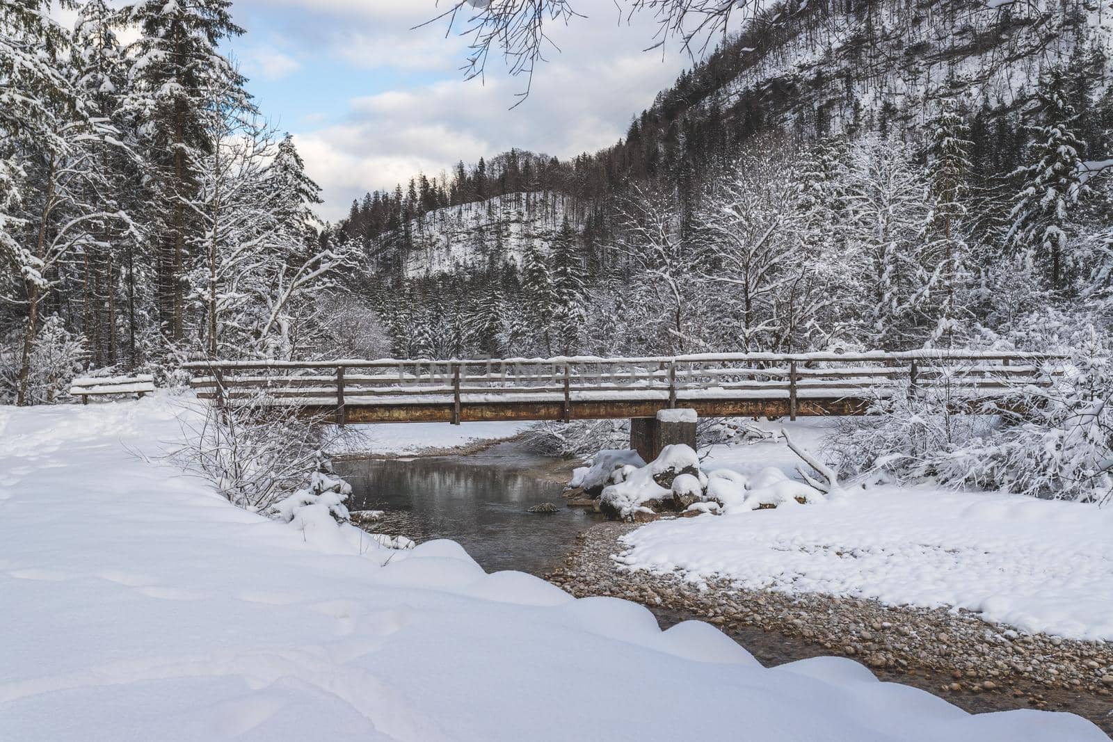 Winter landscape with footpath, snowy trees and blue sky