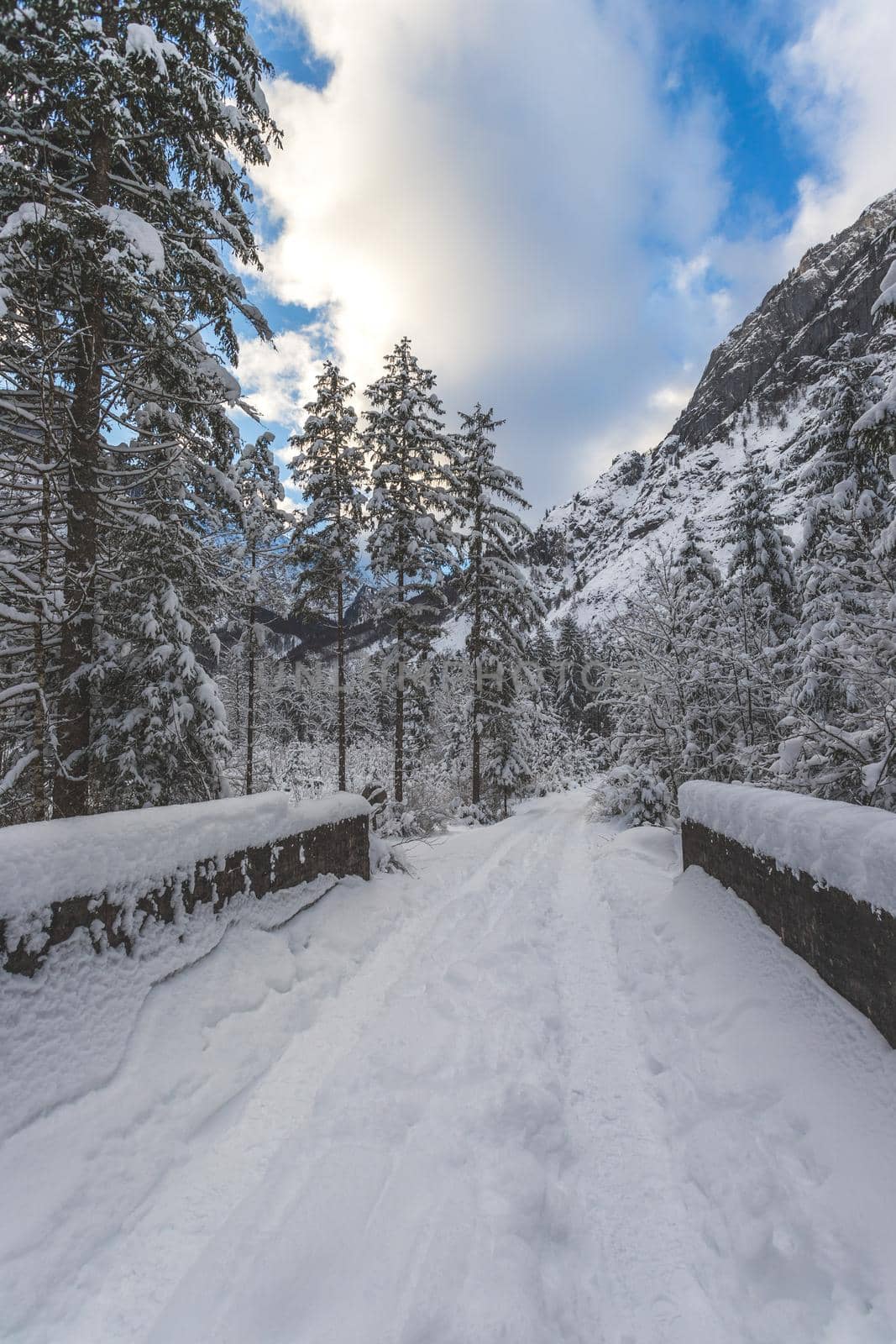 Winter landscape with footpath, snowy trees and blue sky