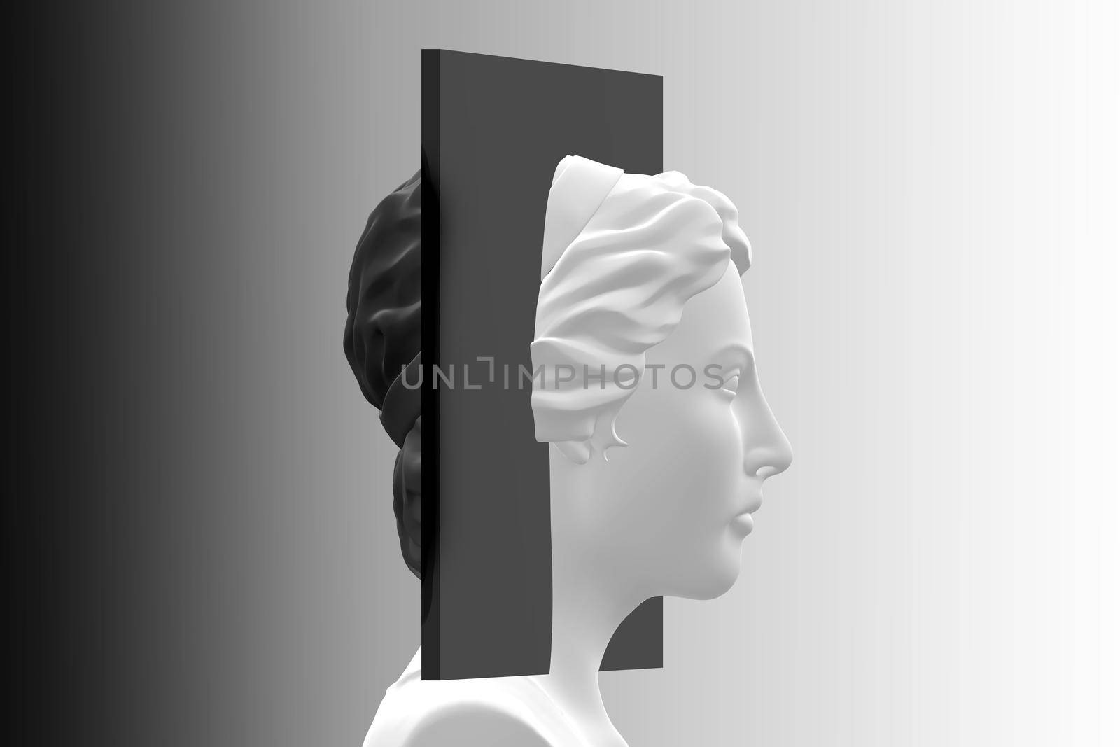 Bipolar split personality. Female with black divider. Concept of mental disease. 3D render