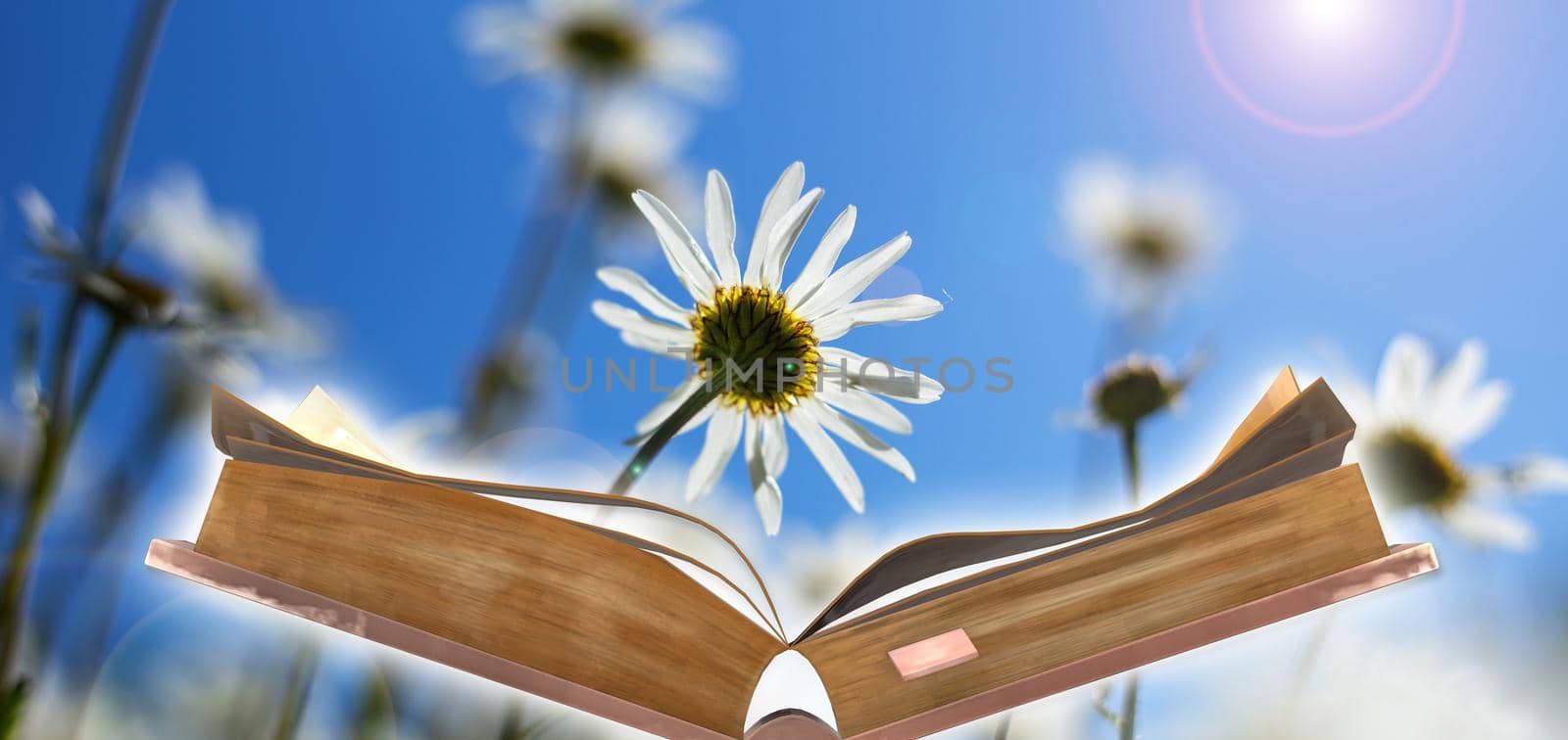 World book day. International Literacy. Greeting card. Open book on sunny fieled with flowers background. Education concept for knowledge importance