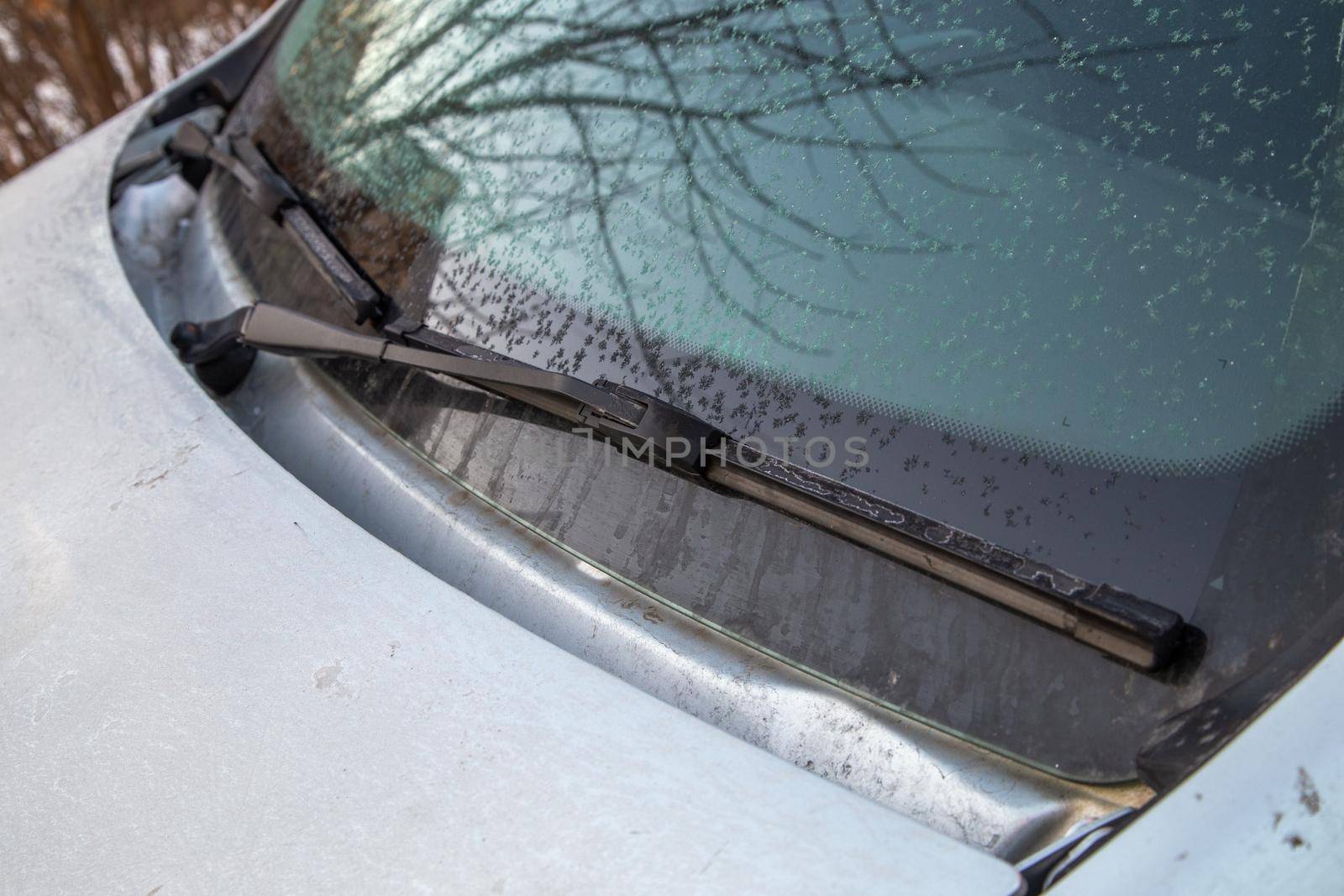 light frost flakes on morning car windshield and waterblade wipers - close-up with selective focus