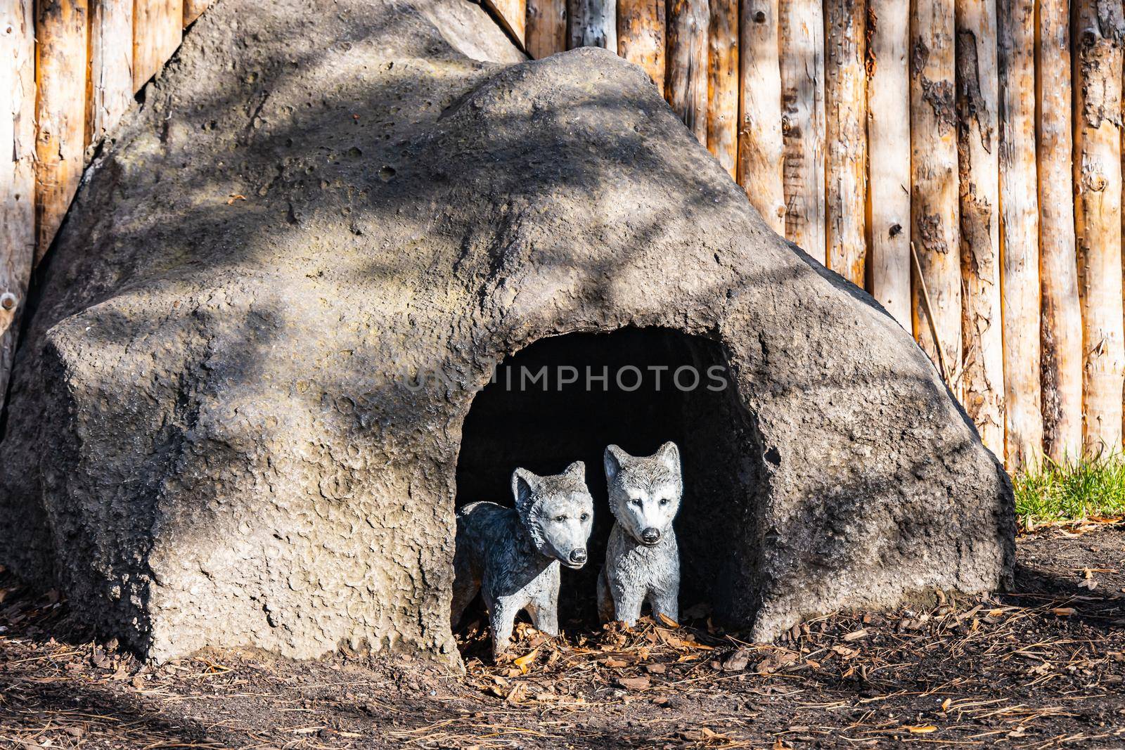 Statue of small gray wolfs in cave standing in front of wooden fence