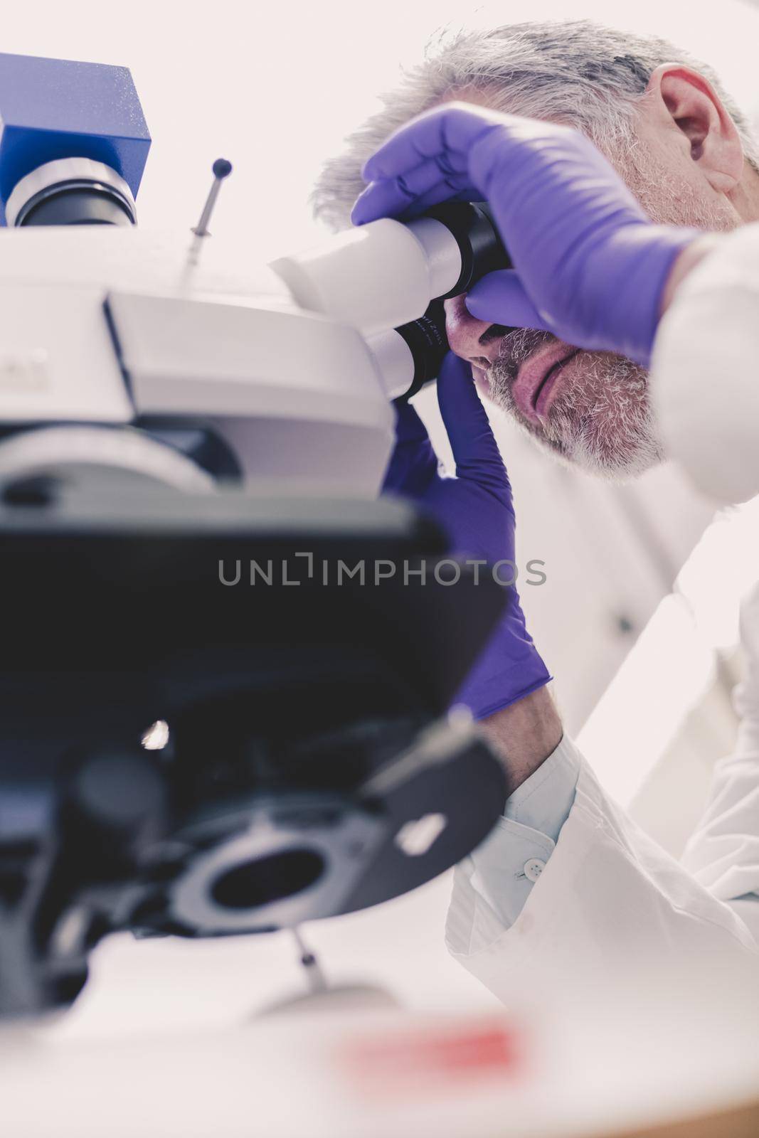 Senior head scientist microscoping in the life science research laboratory. Biotechnology research.