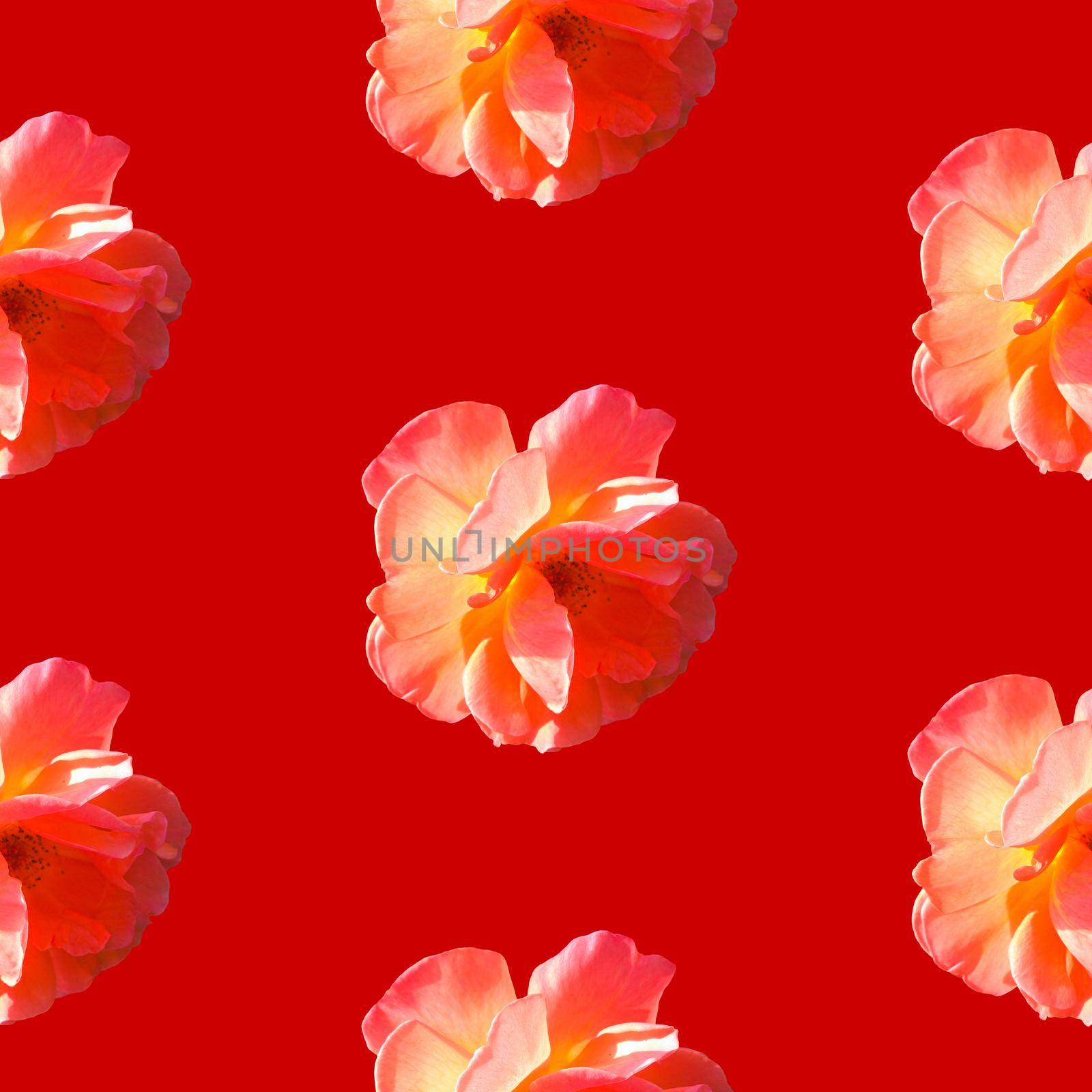 Seamless pattern with roses on a red background. Flat lay, top view. Pop art creative design for textile, fashion, wallpaper, fabric, wrapping paper.