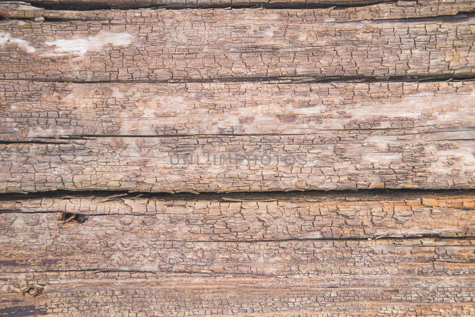 Closeup picture of old rustic wooden planks