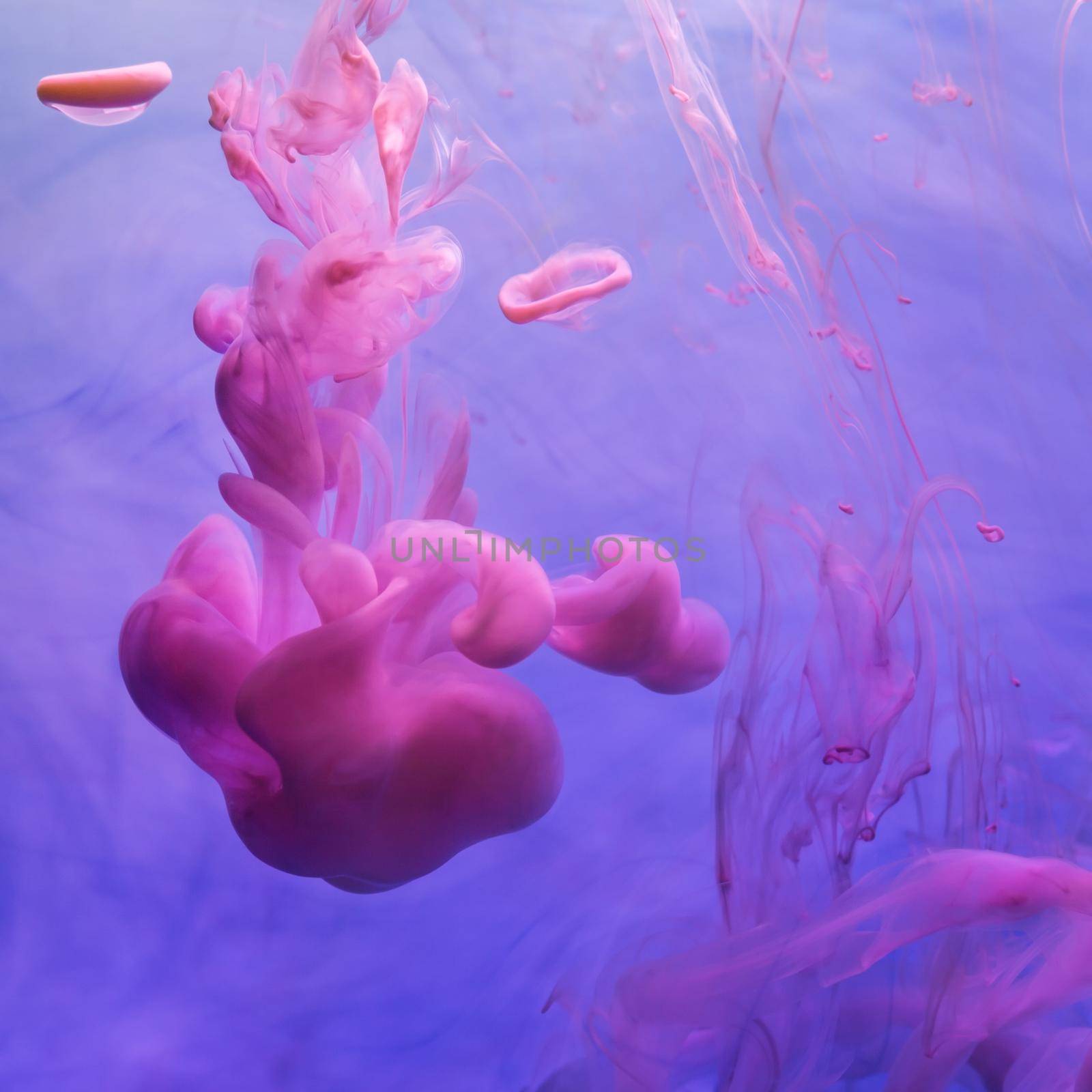 Pink inks in water on blue background by zhu_zhu