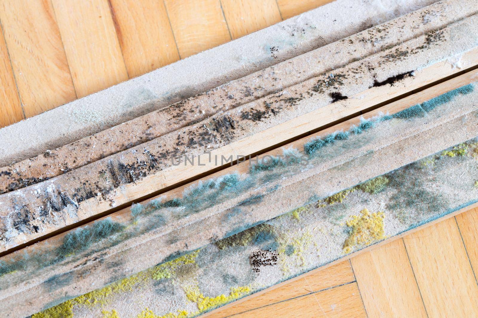 Close up of molded wooden planks indoor