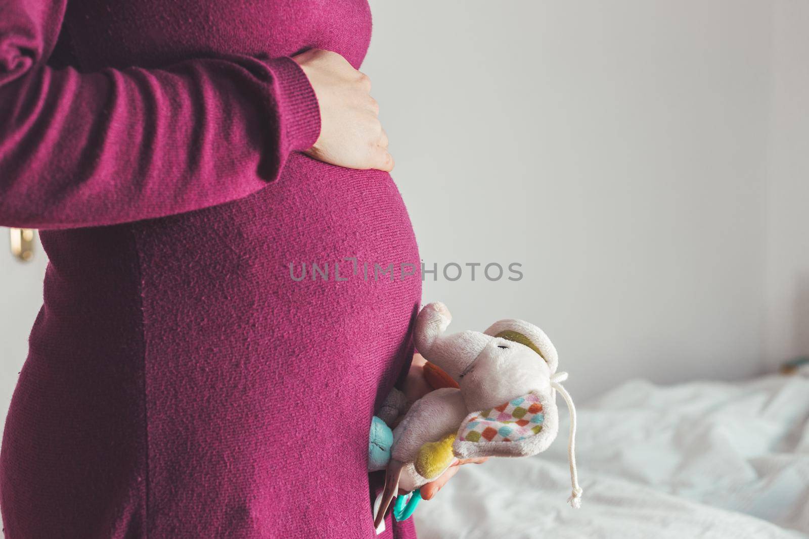 Close up of young mother holding a plush toy on her pregnant tummy, Caucasian, magenta dress