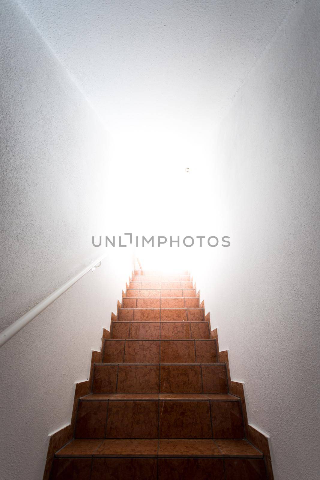 Basement stairway with railing, bright natural sunlight by Daxenbichler