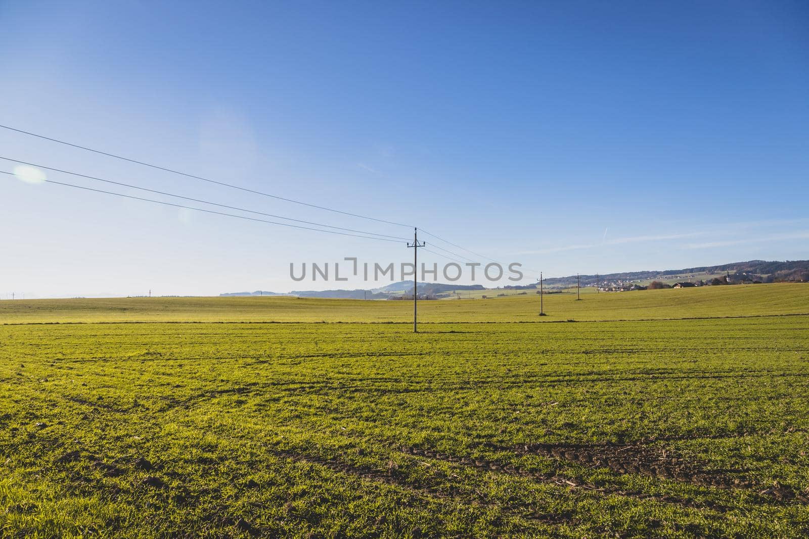 Green agriculture field under blue sky