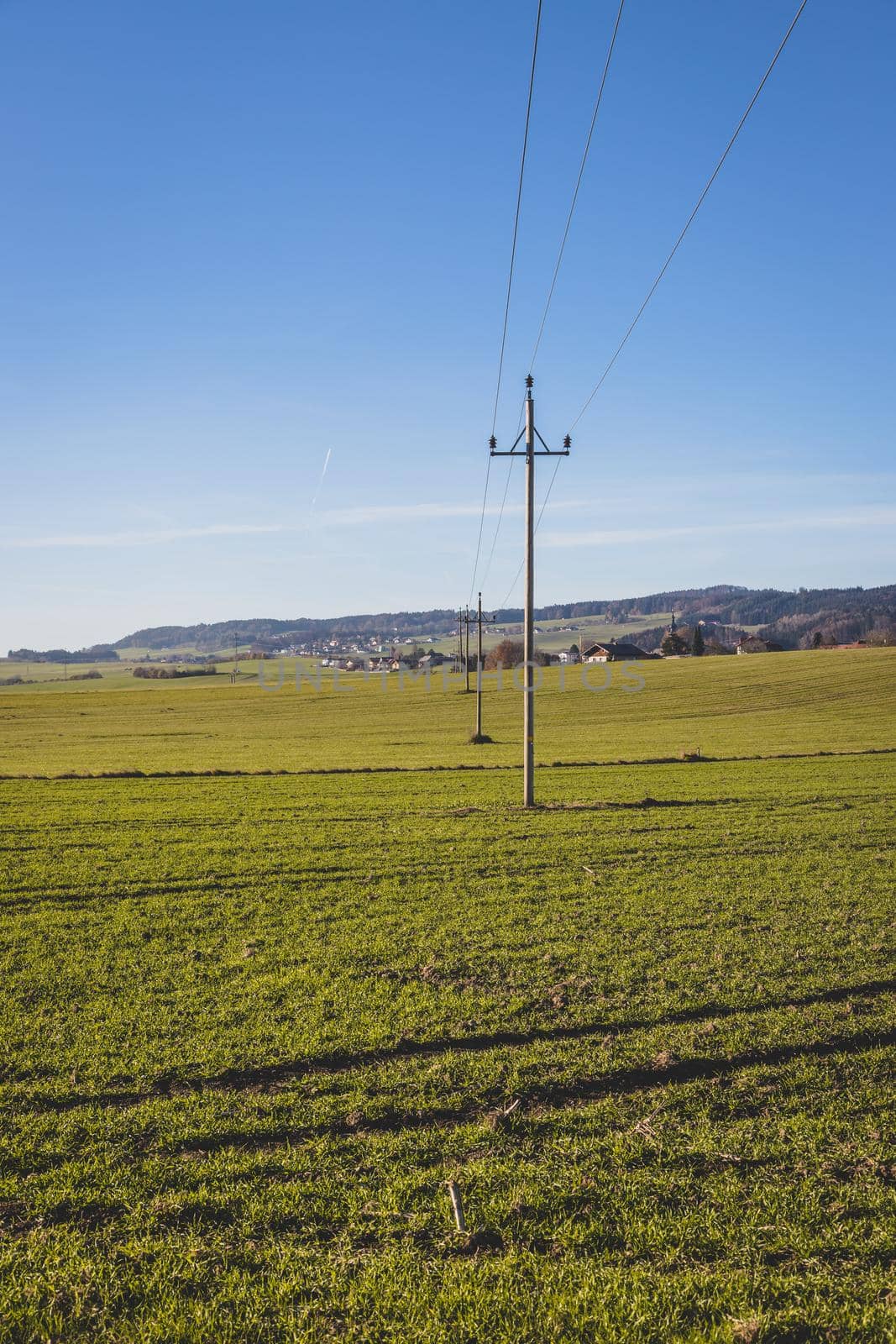 Green agriculture field under blue sky