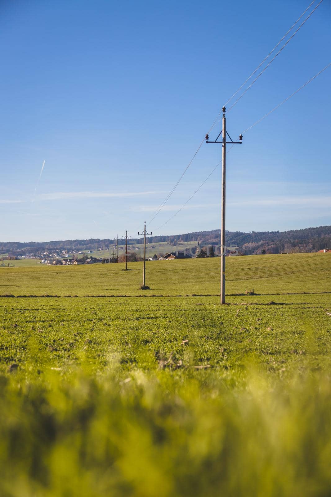 Green grass field with high voltage line in summer, nobody, wideness by Daxenbichler