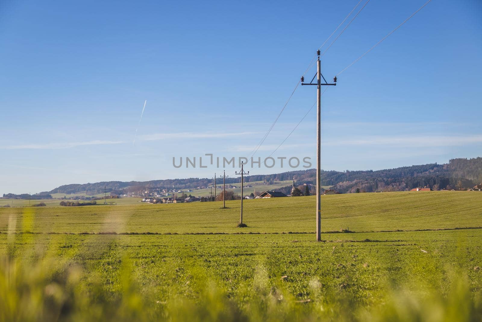 Green agriculture field under blue sky