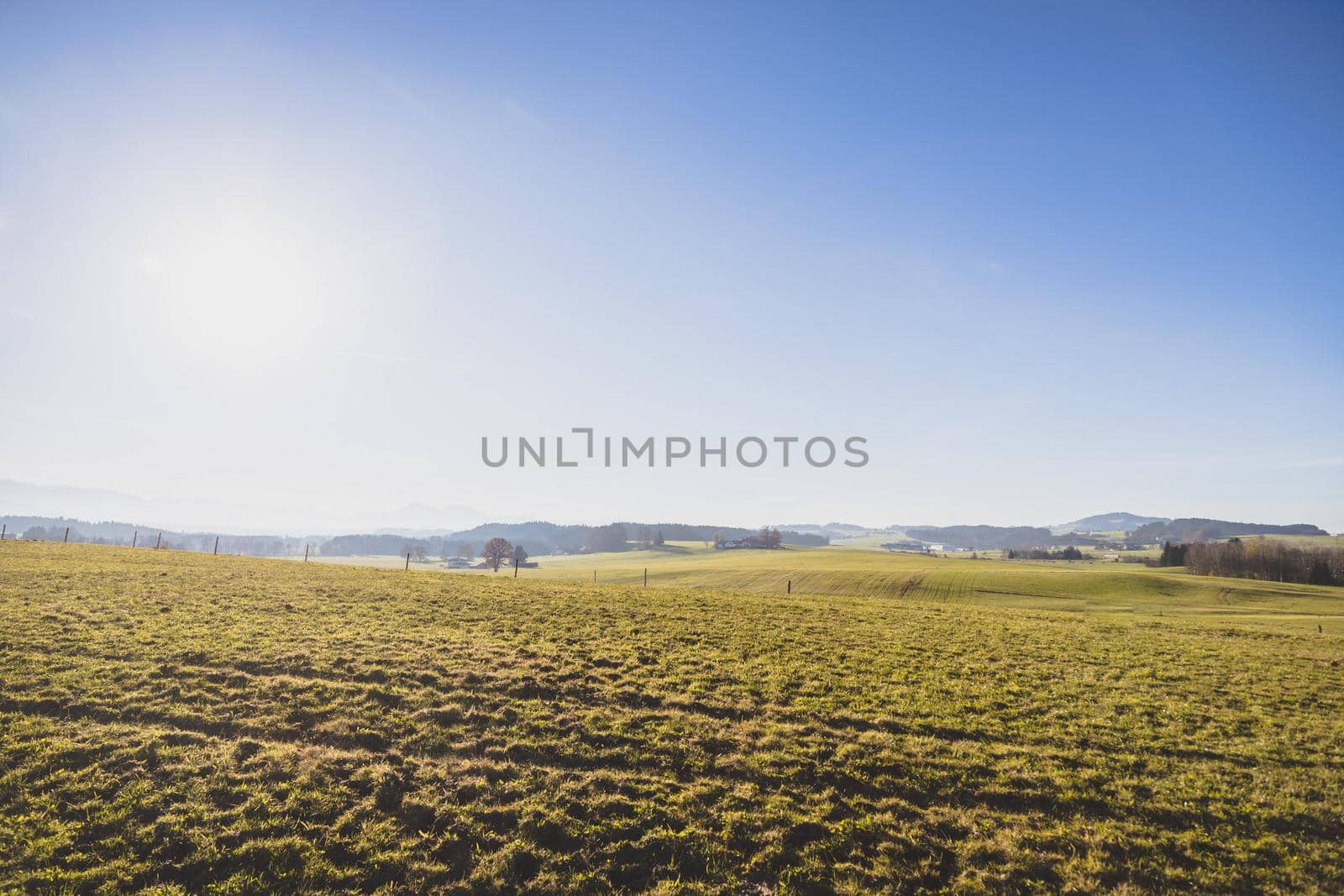 Green agriculture field under blue sky