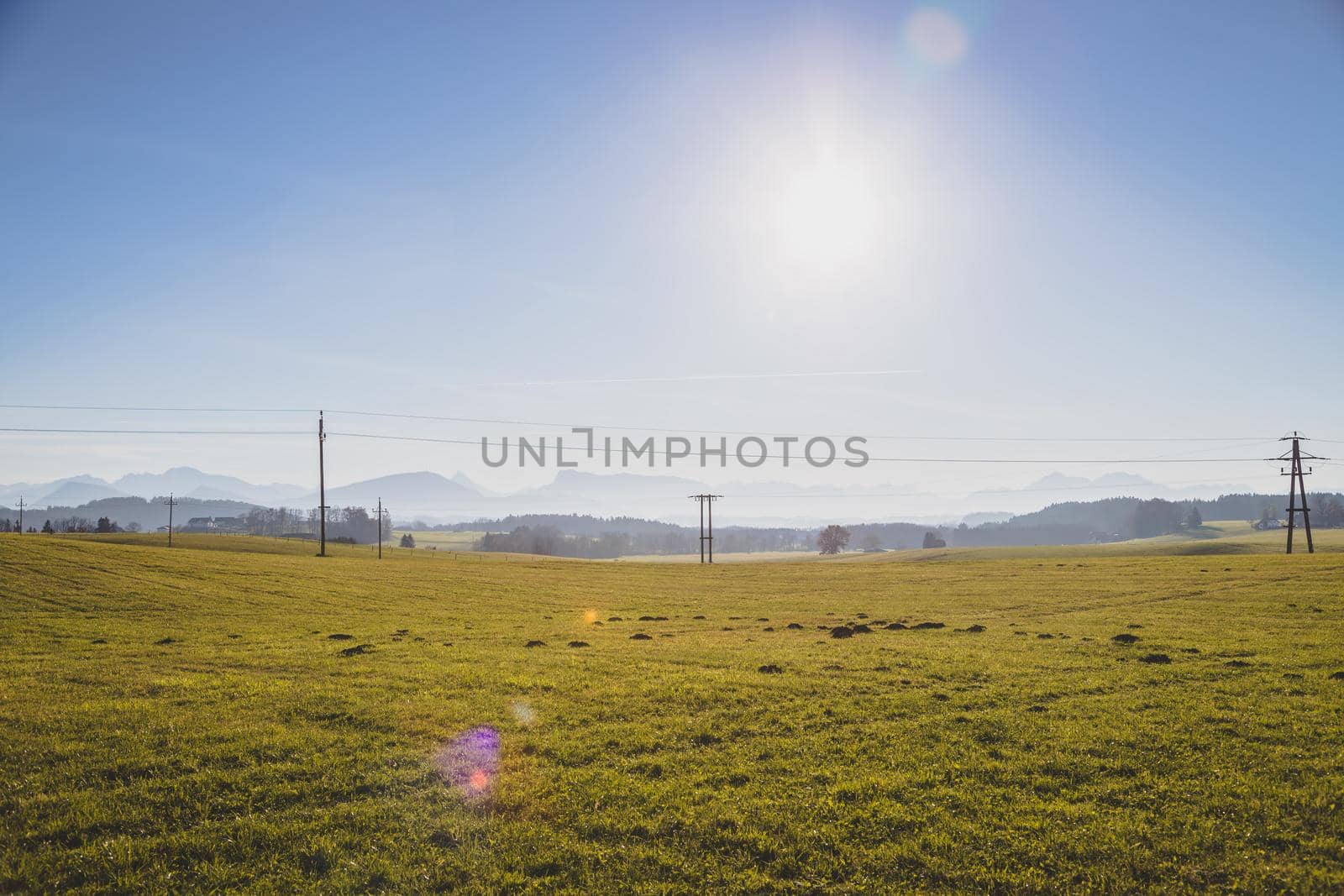 Green agriculture field under blue sky
