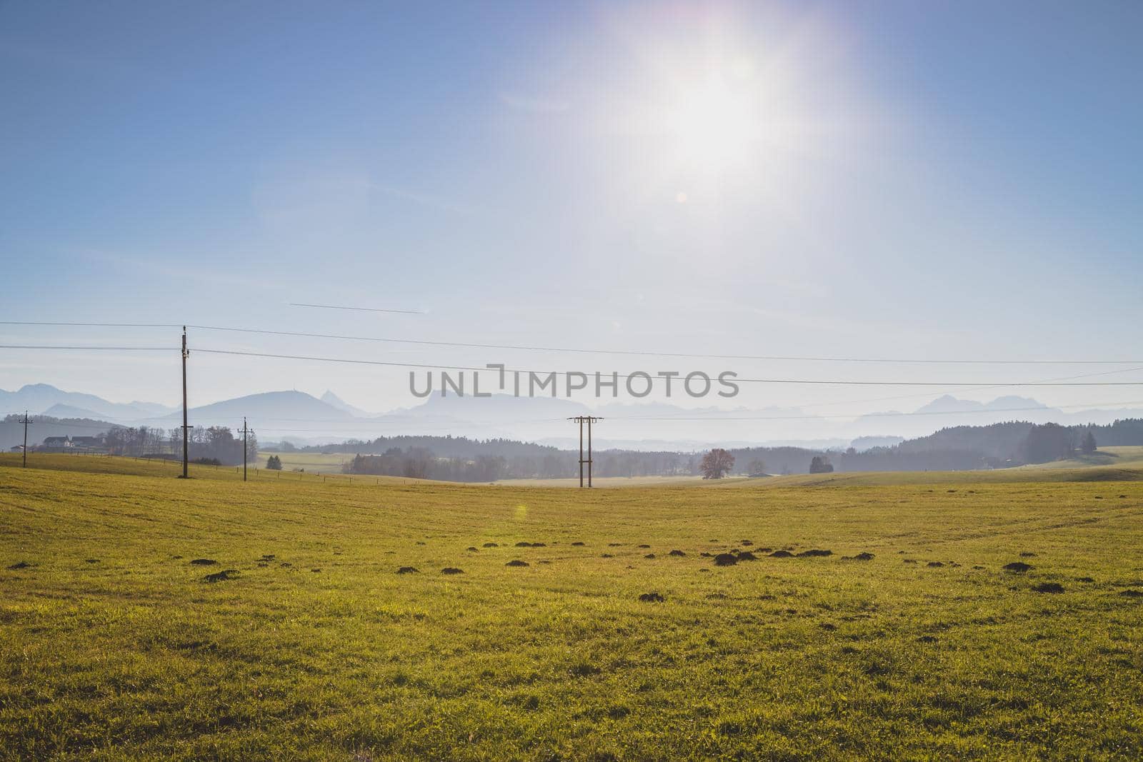 Green agriculture field under blue sky
