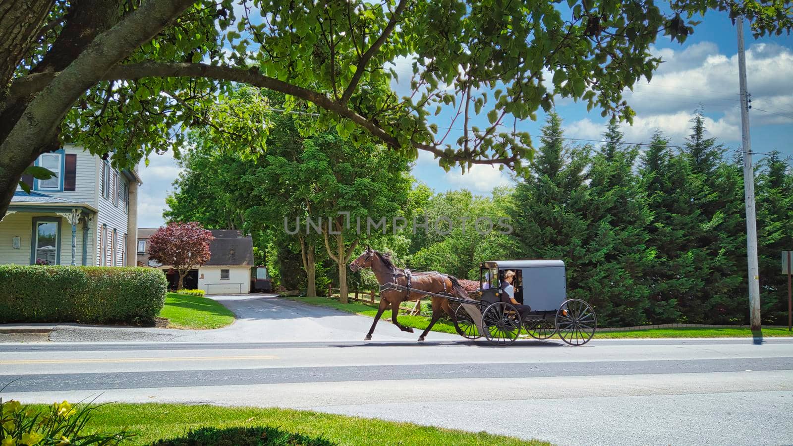 Gordonville, Pennsylvania, June 2020 -An Amish Horse and Buggy Full with Amish People Traveling along a Countryside Road on a Summer Day