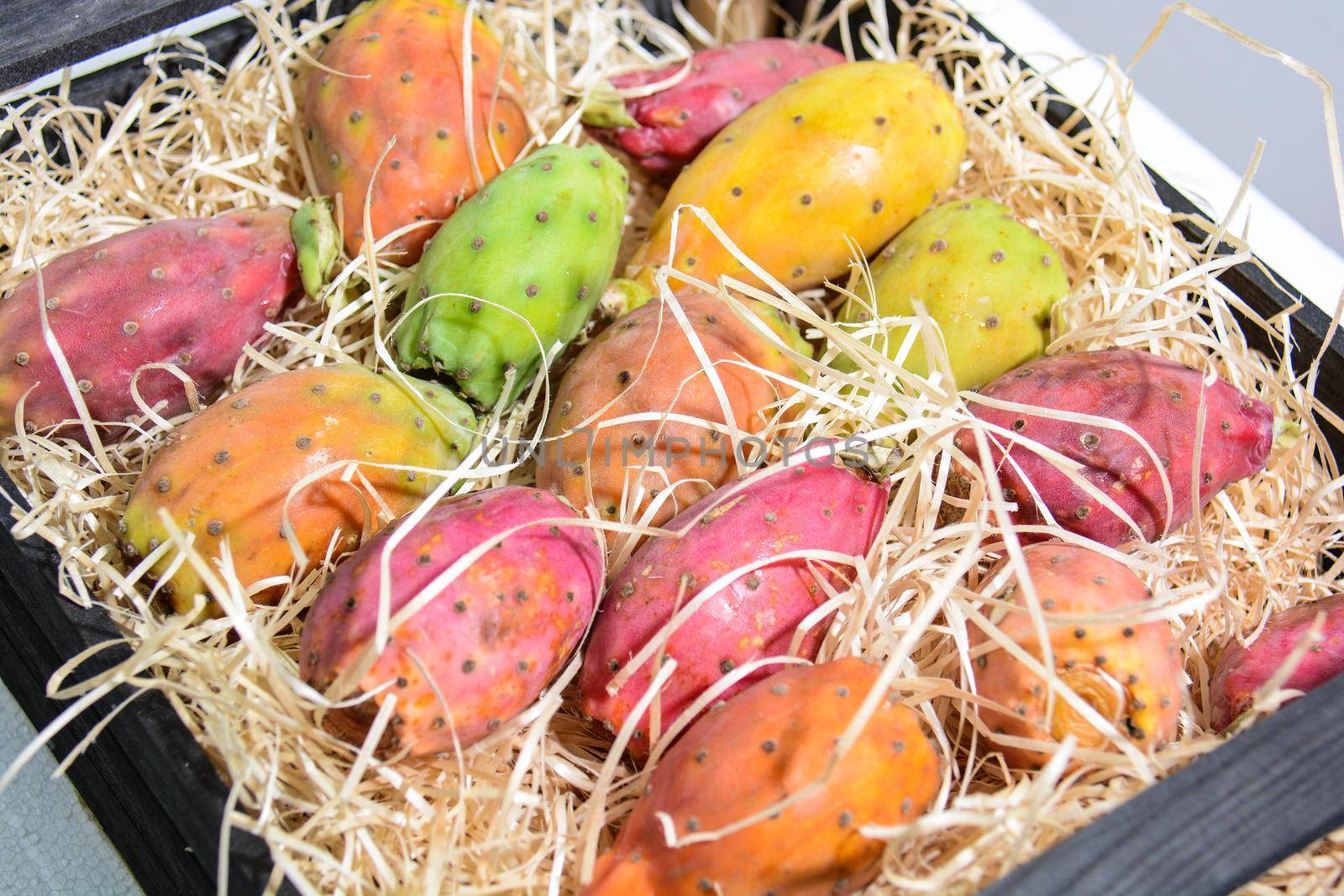 prickly pears wild fruit of sicily