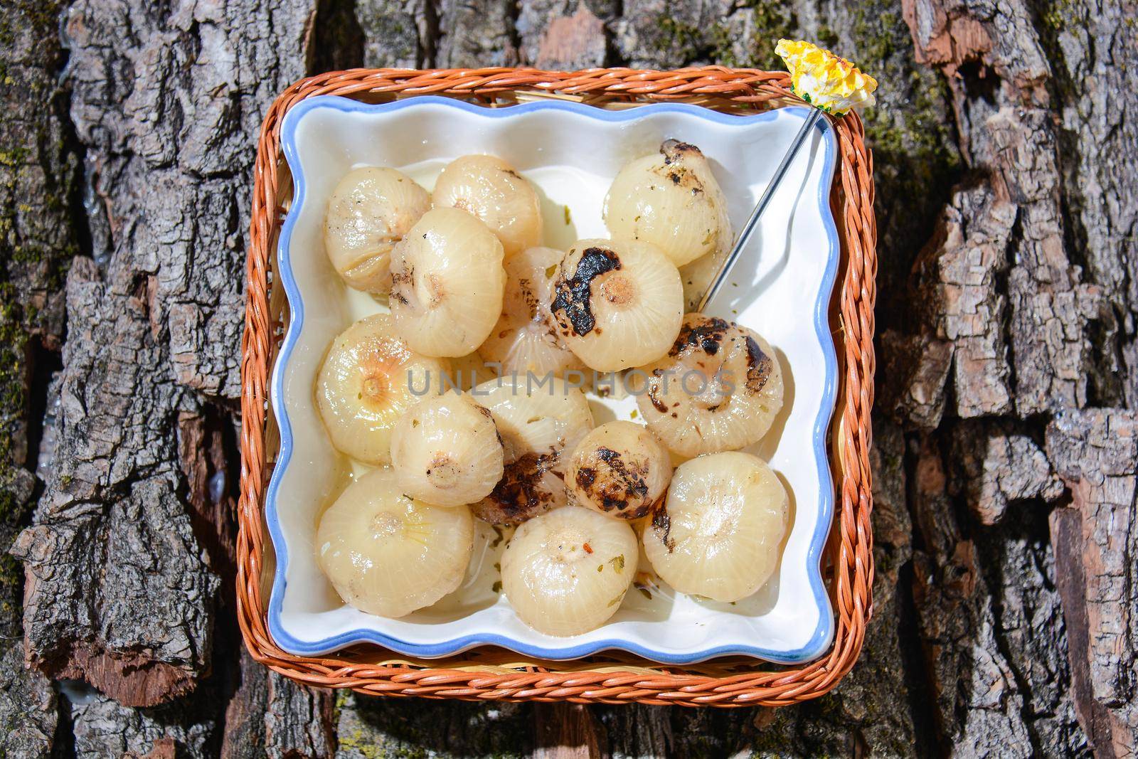 original appetizer roasted onions by iacobino