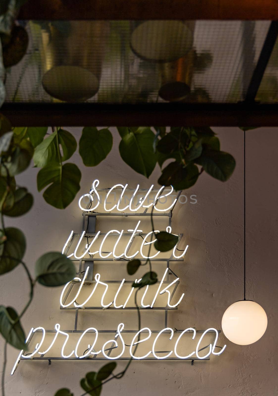 Glowing light neon "save water drink prosecco" hanged on wall with flowers and plants around