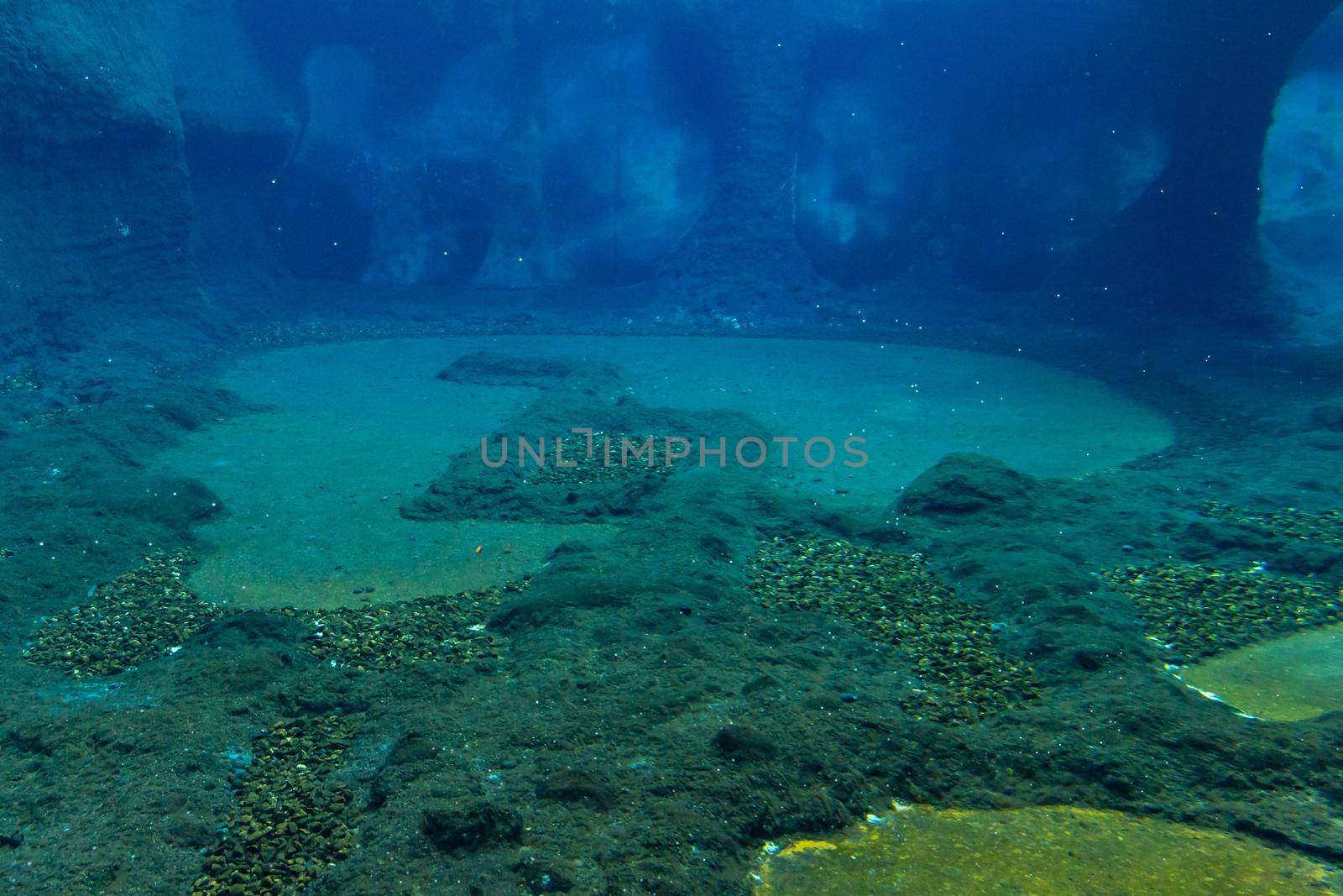 Big colorful underwater swimming pool for penguins