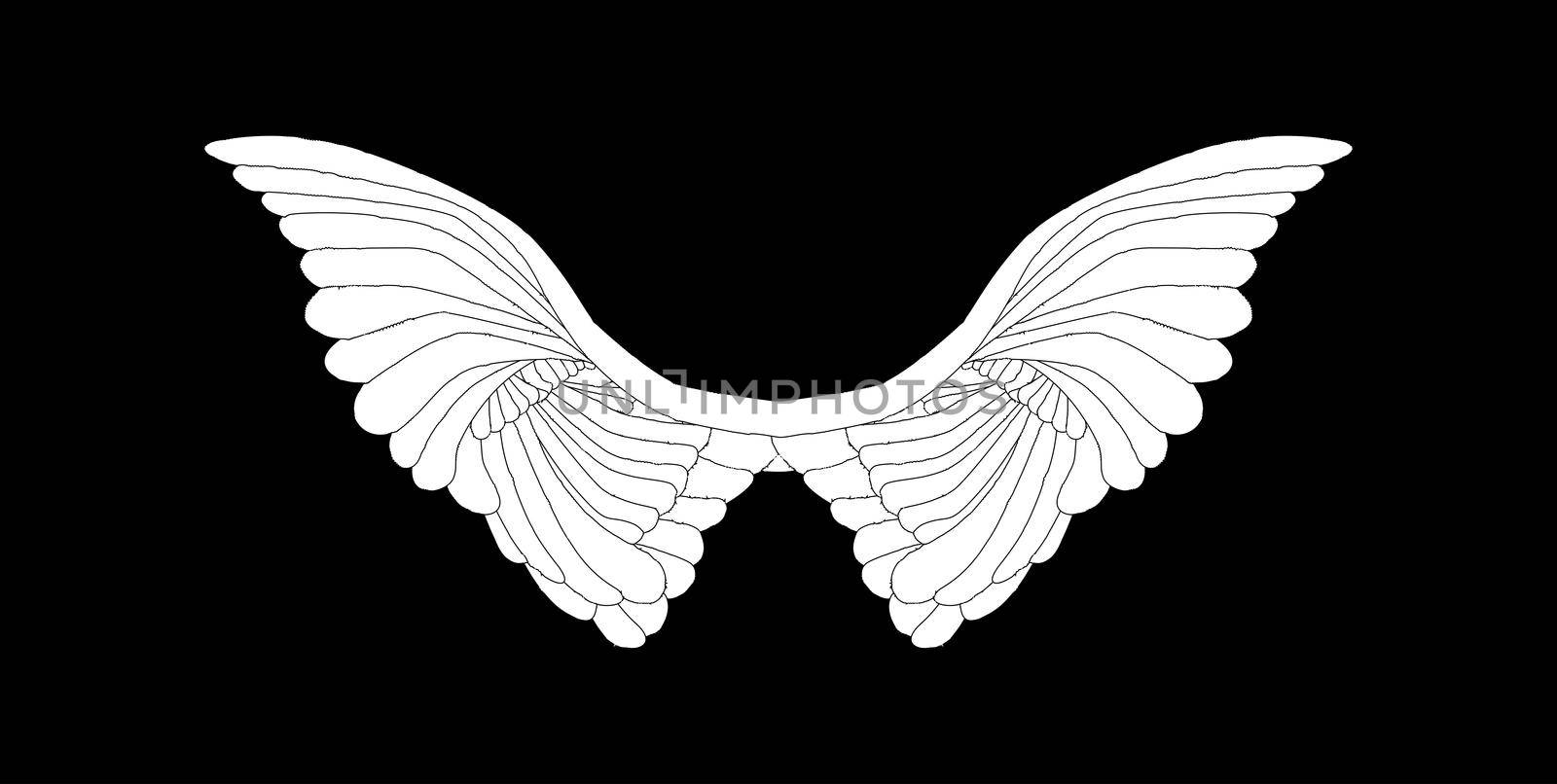 A large pair of white angelic wings spread over a black background