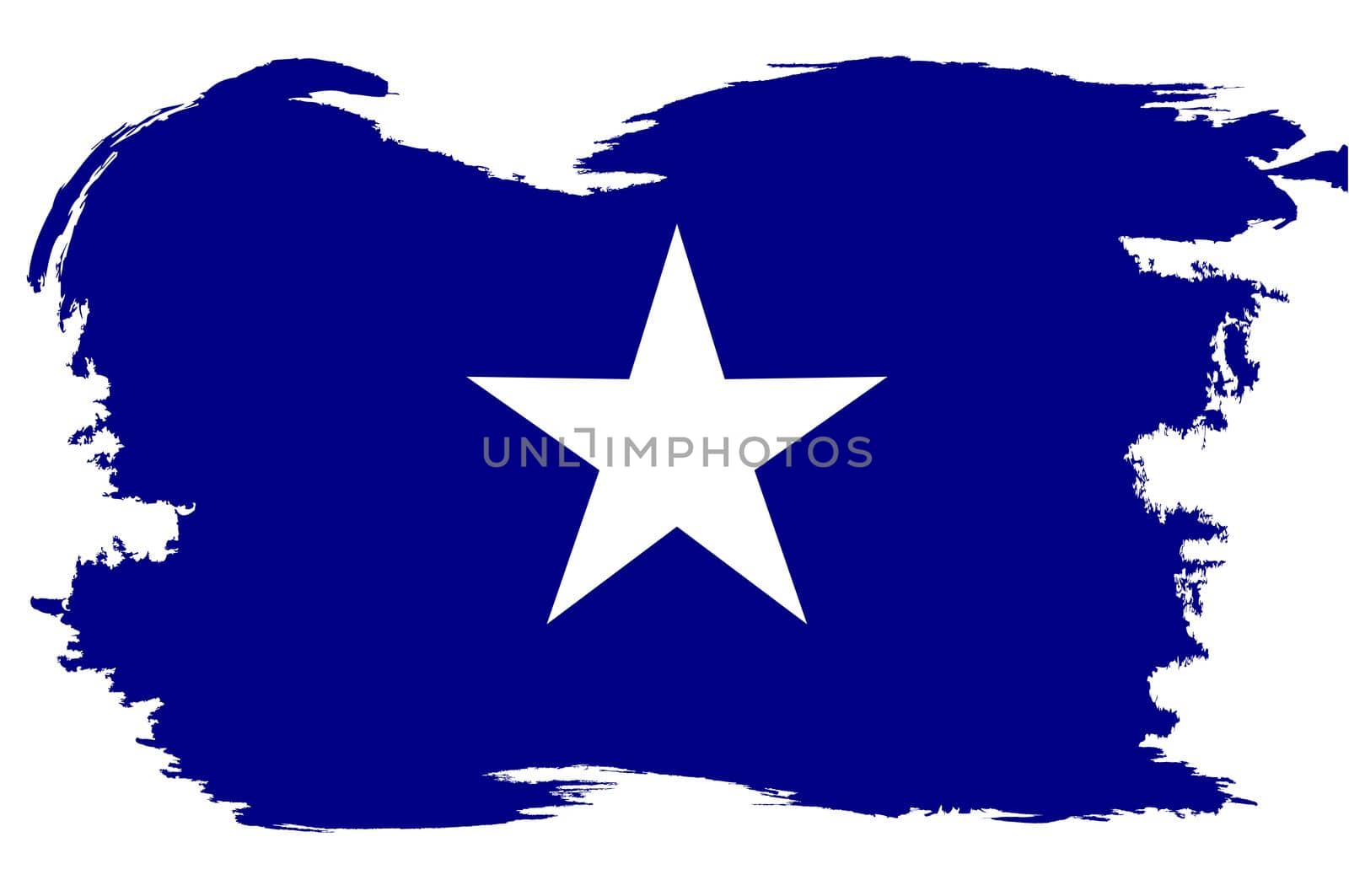 The Bonnie Blue Flag With White Grunge Border by Bigalbaloo