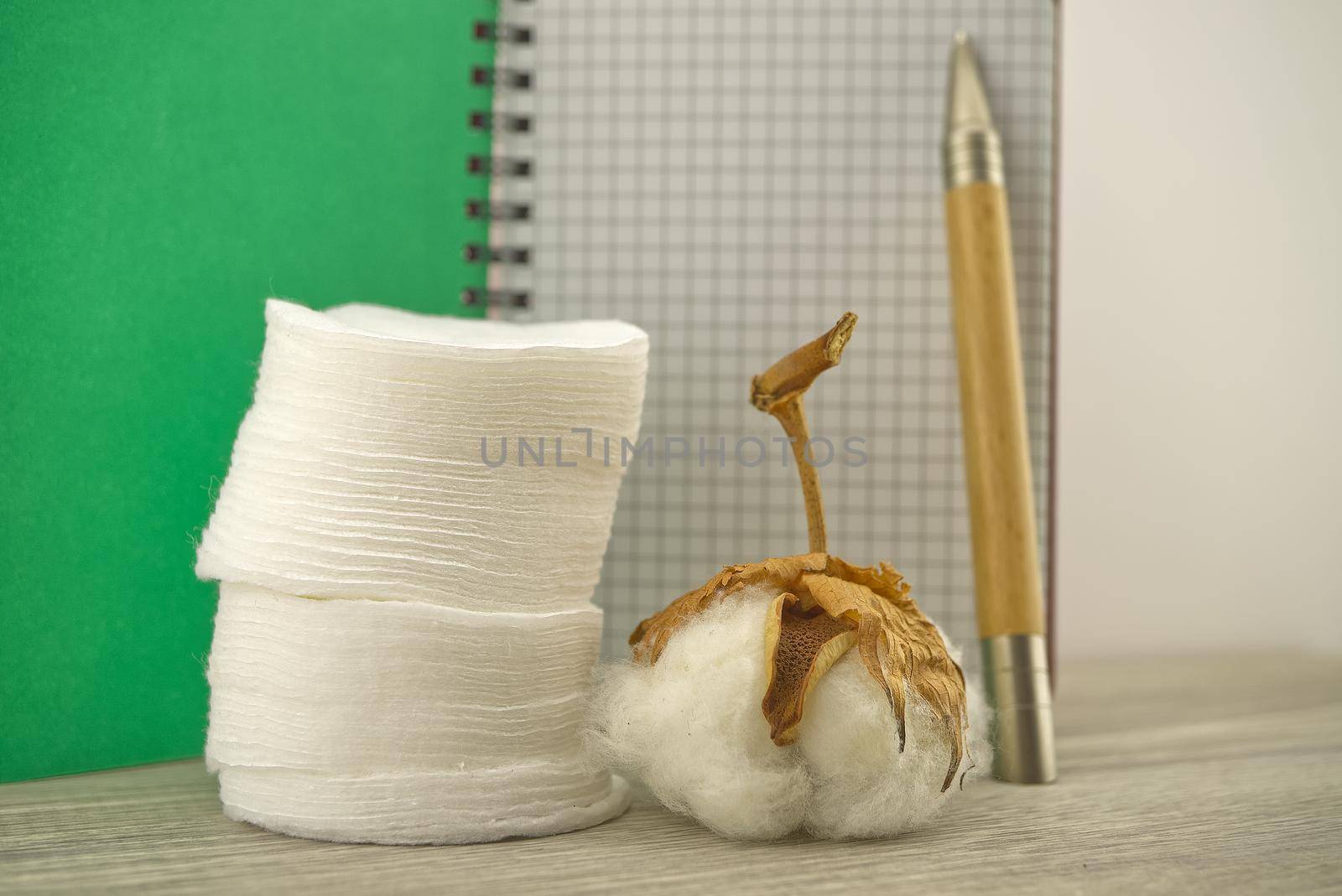 Natural cotton stem boll and stack of makeup remover facial cotton pads placed in front of of wire bound notepad. Organic production concept