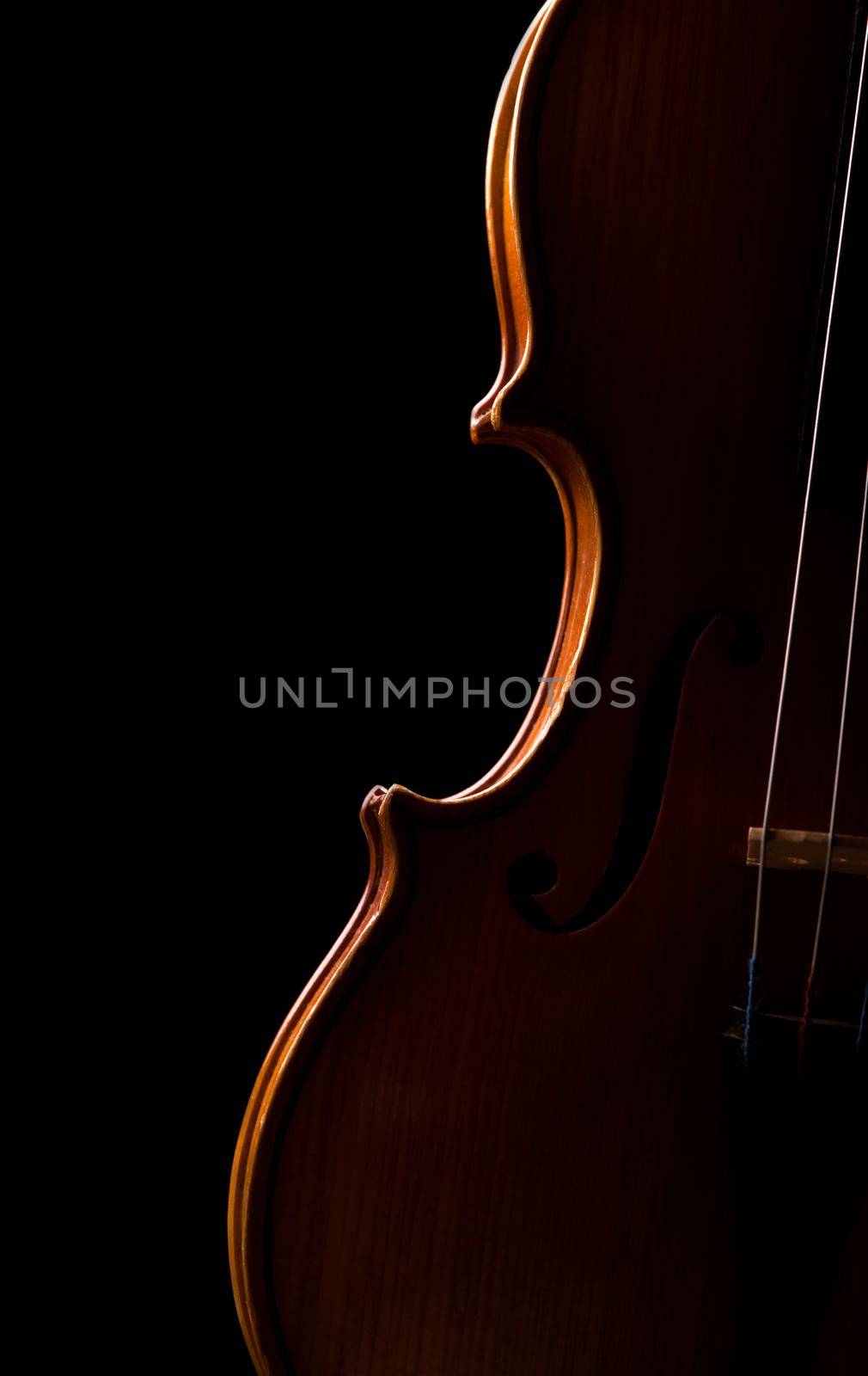 Violin music instrument of orchestra closeup isolated on black