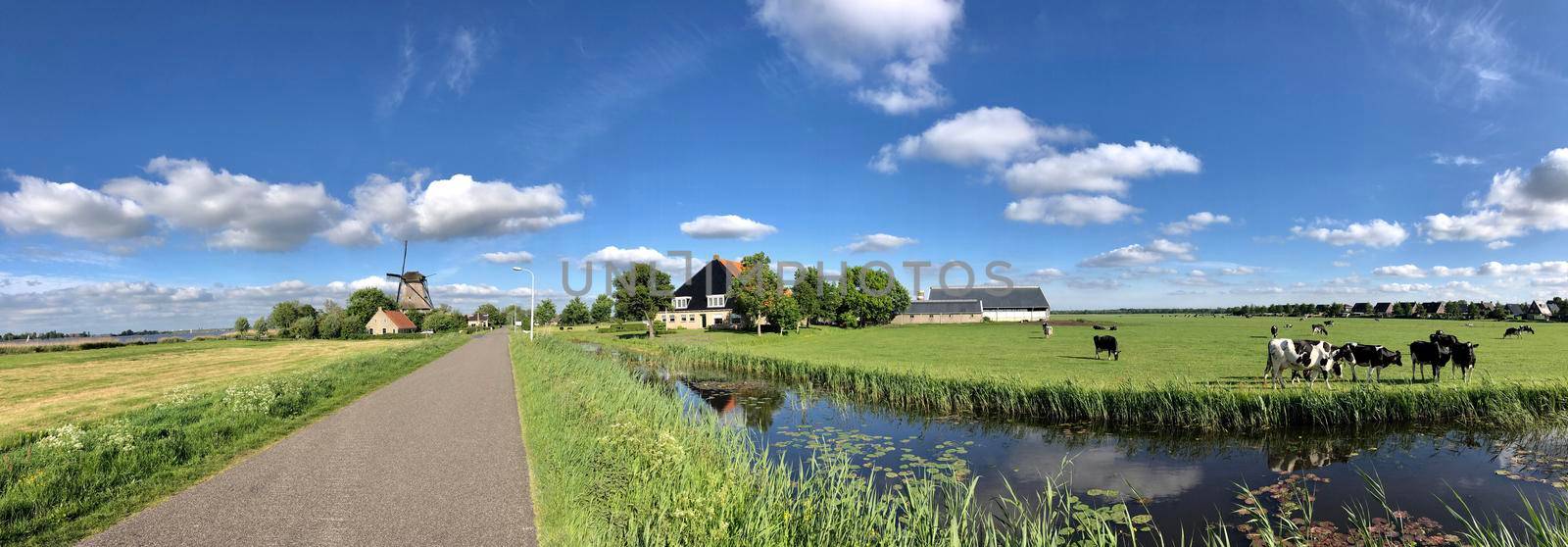 Panoramic landscape from Friesland in The Netherlands
