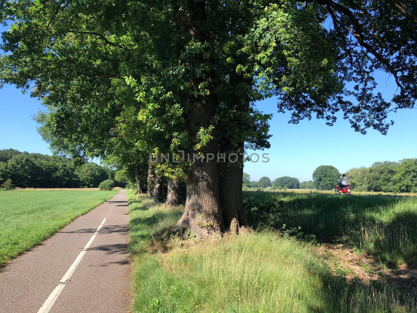 Bicycle path around the village Beerze in Overijssel The Netherlands