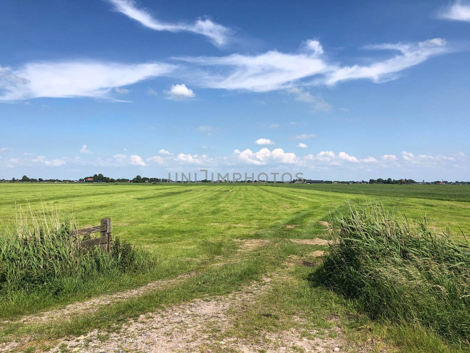 farmland around Schraard in Friesland, The Netherlands