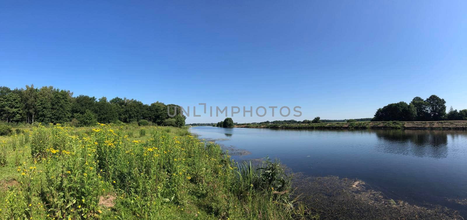 Panorama from the river Vecht around Beerze  by traveltelly