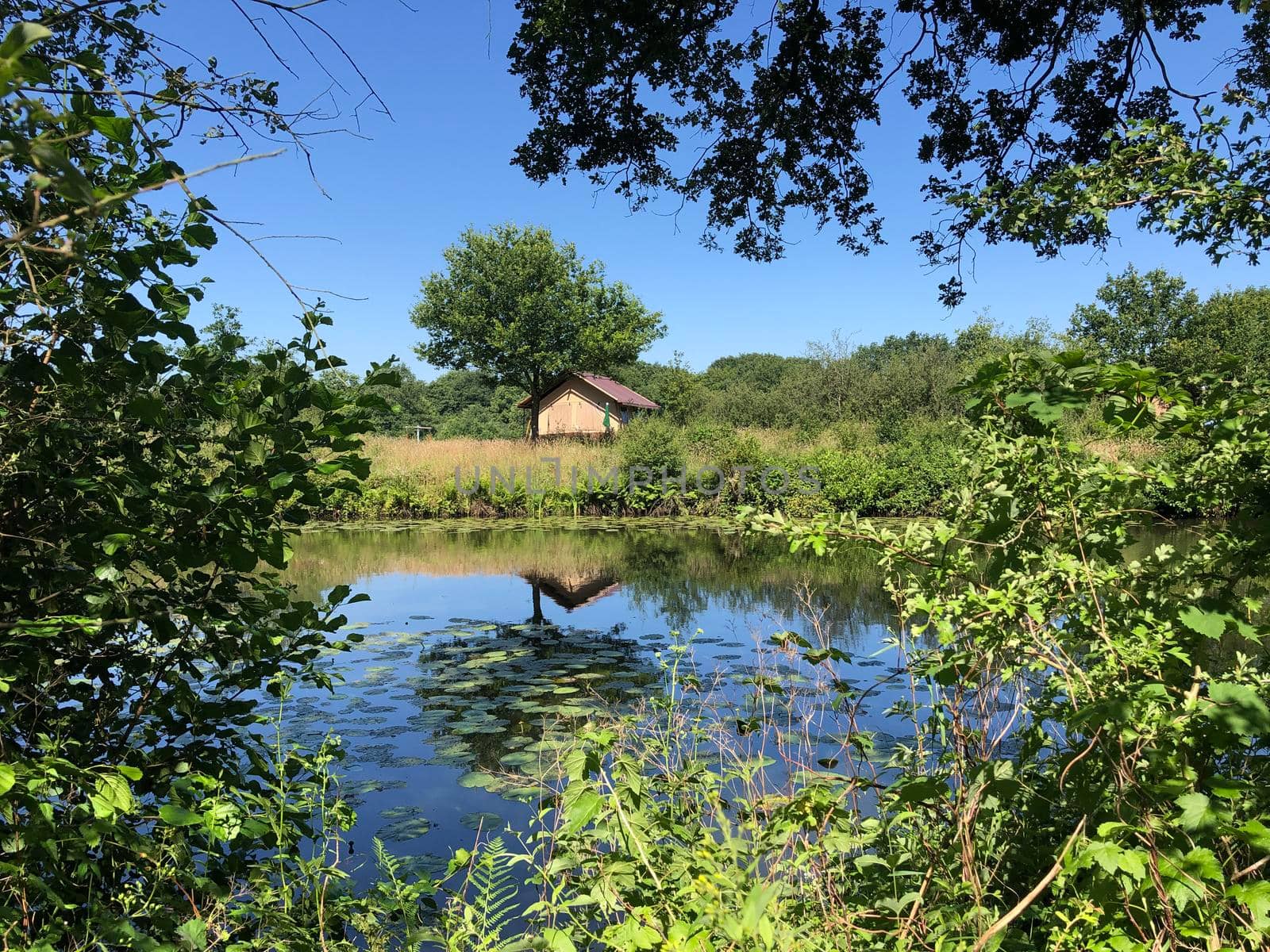 Camping around Beerze in Overijssel The Netherlands