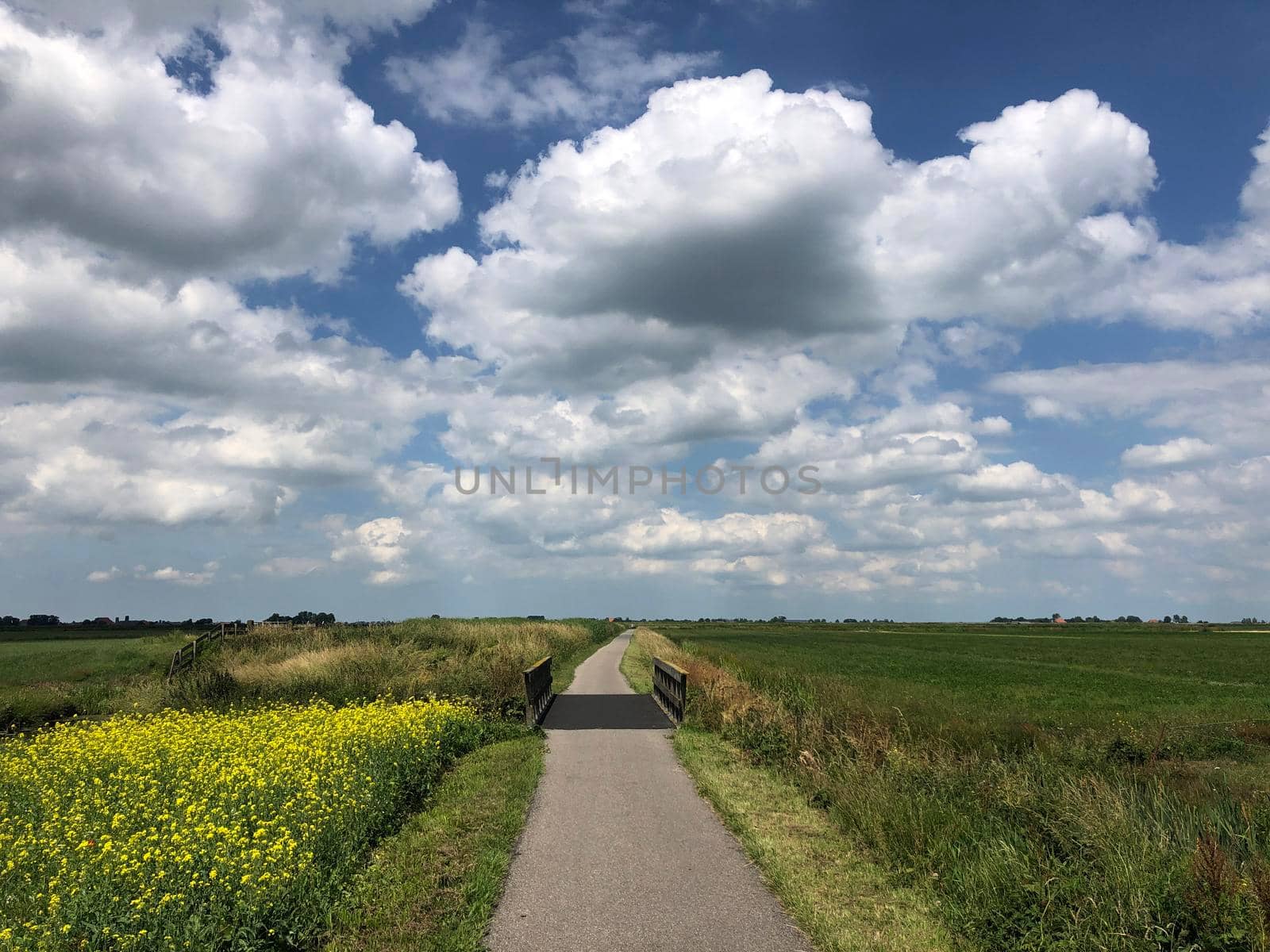Landscape around Oudega in Friesland, The Netherlands