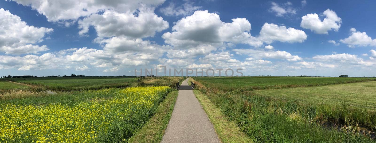 Panorama from around Oudega in Friesland, The Netherlands