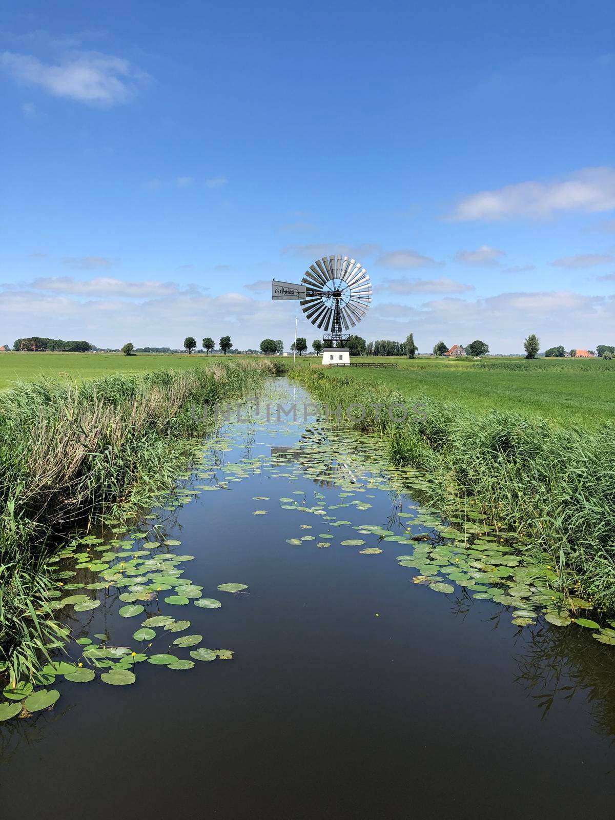 Canal and windmill around the village Boazum  by traveltelly