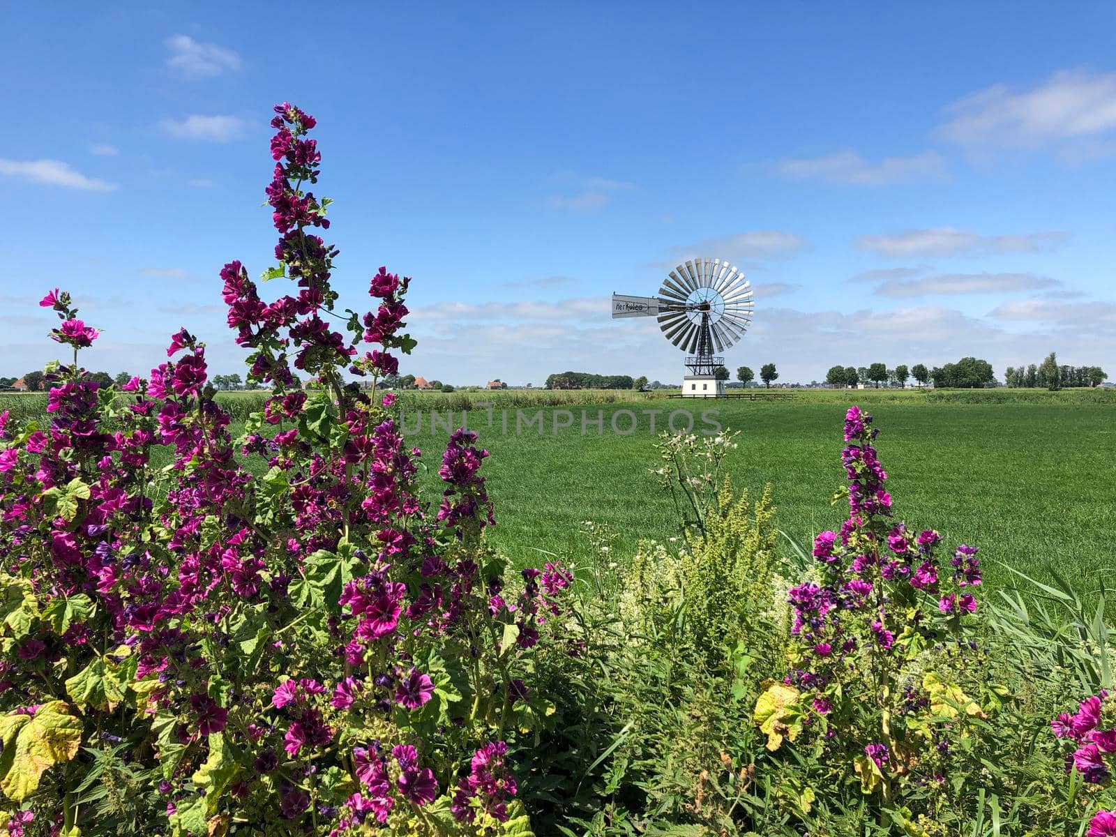 Windmill around the village Boazum  by traveltelly