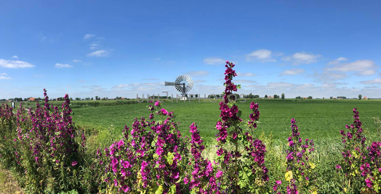 Panorama from a windmill around the village Boazum in Friesland The Netherlands