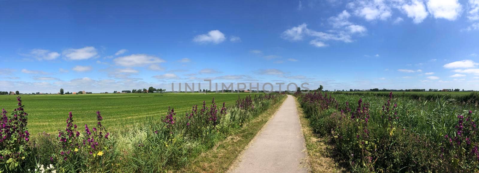 Panorama from cycle path through Friesland by traveltelly
