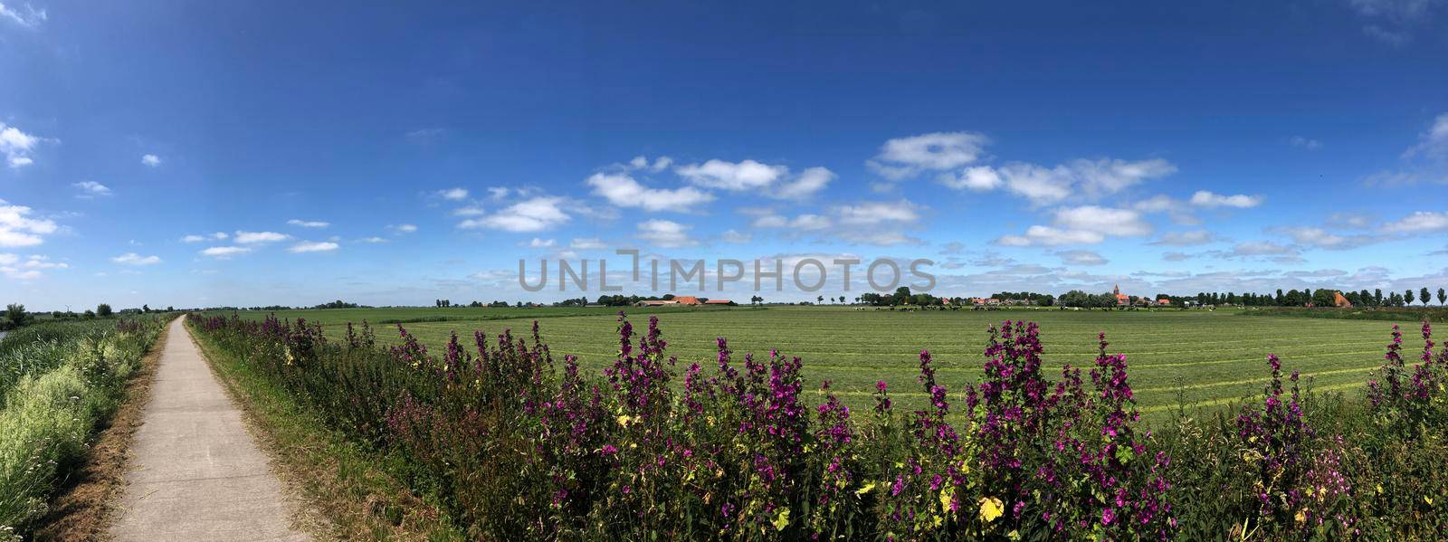 Bicycle path through Friesland  by traveltelly