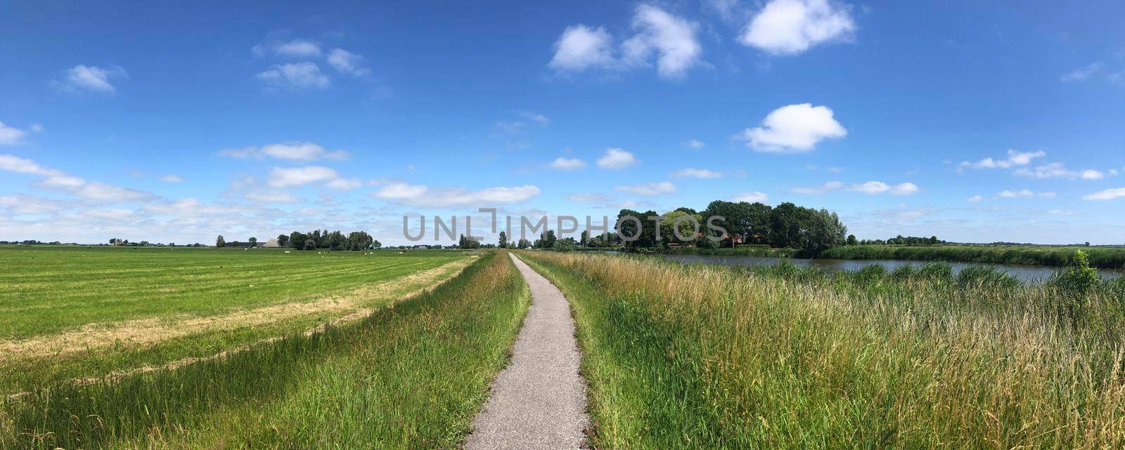 Bicycle path through Friesland by traveltelly