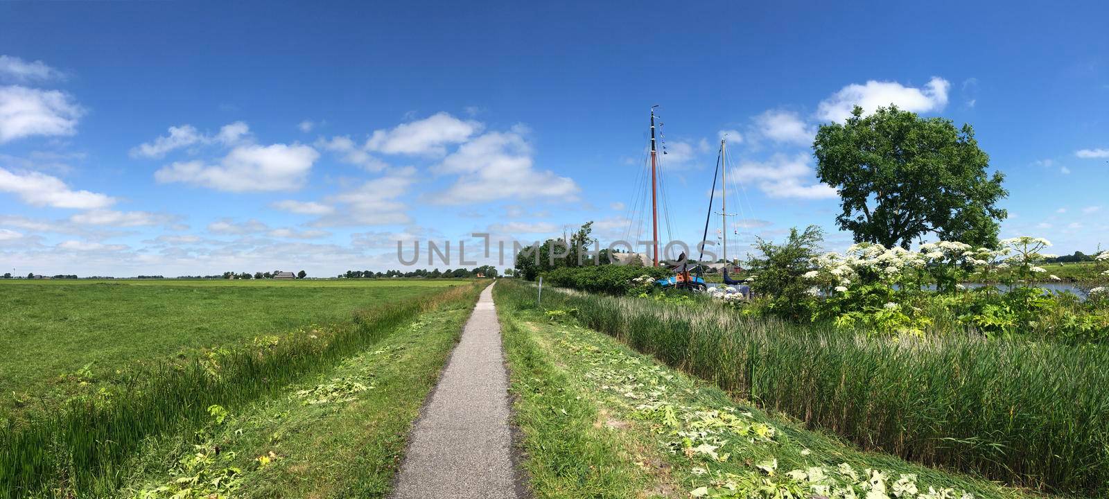 Bicycle path through Friesland  by traveltelly