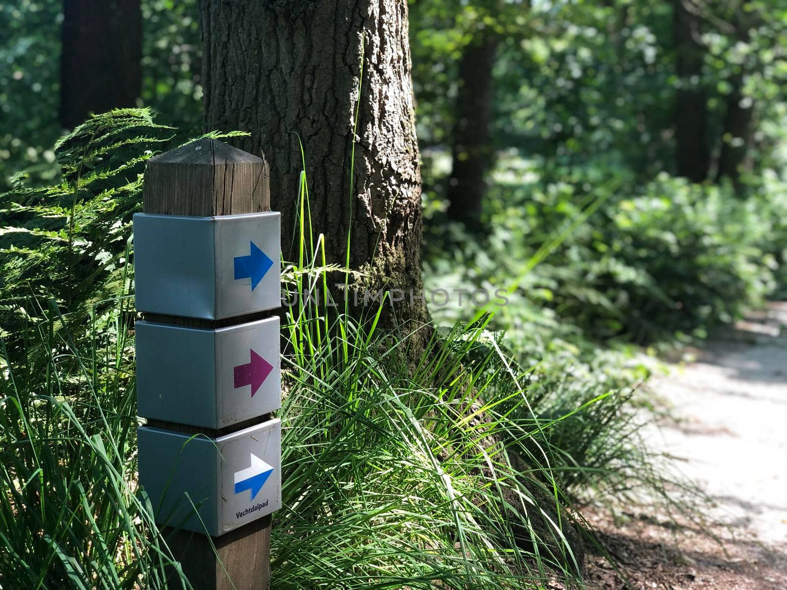 Hiking sign through the forest around Beerze, Overijssel The Netherlands