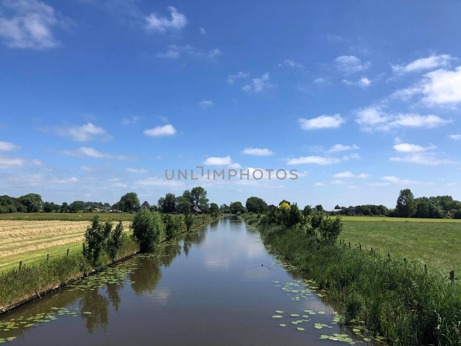 Canal towards Bartlehiem in Friesland The Netherlands