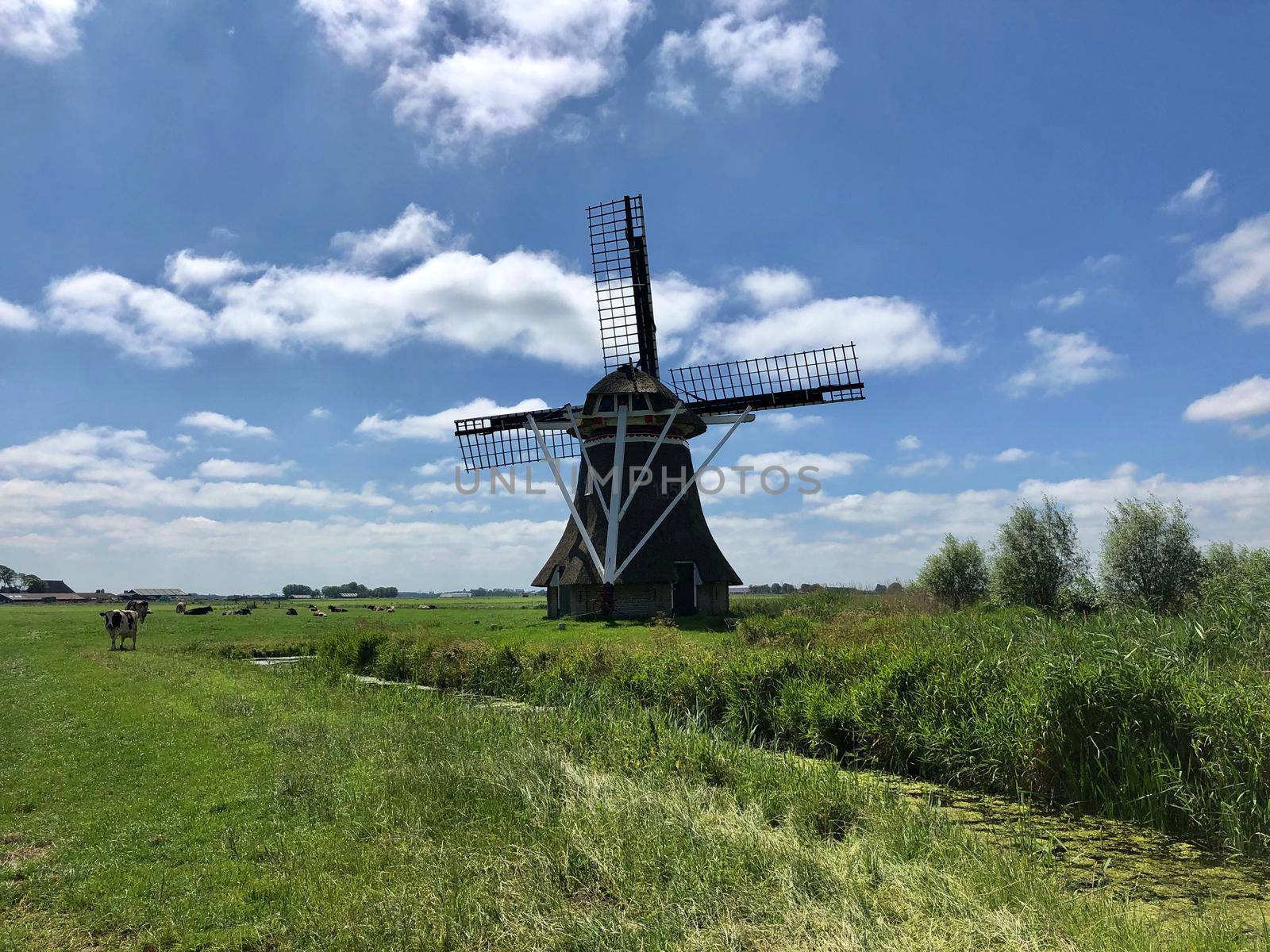 Windmill in Friesland The Netherlands